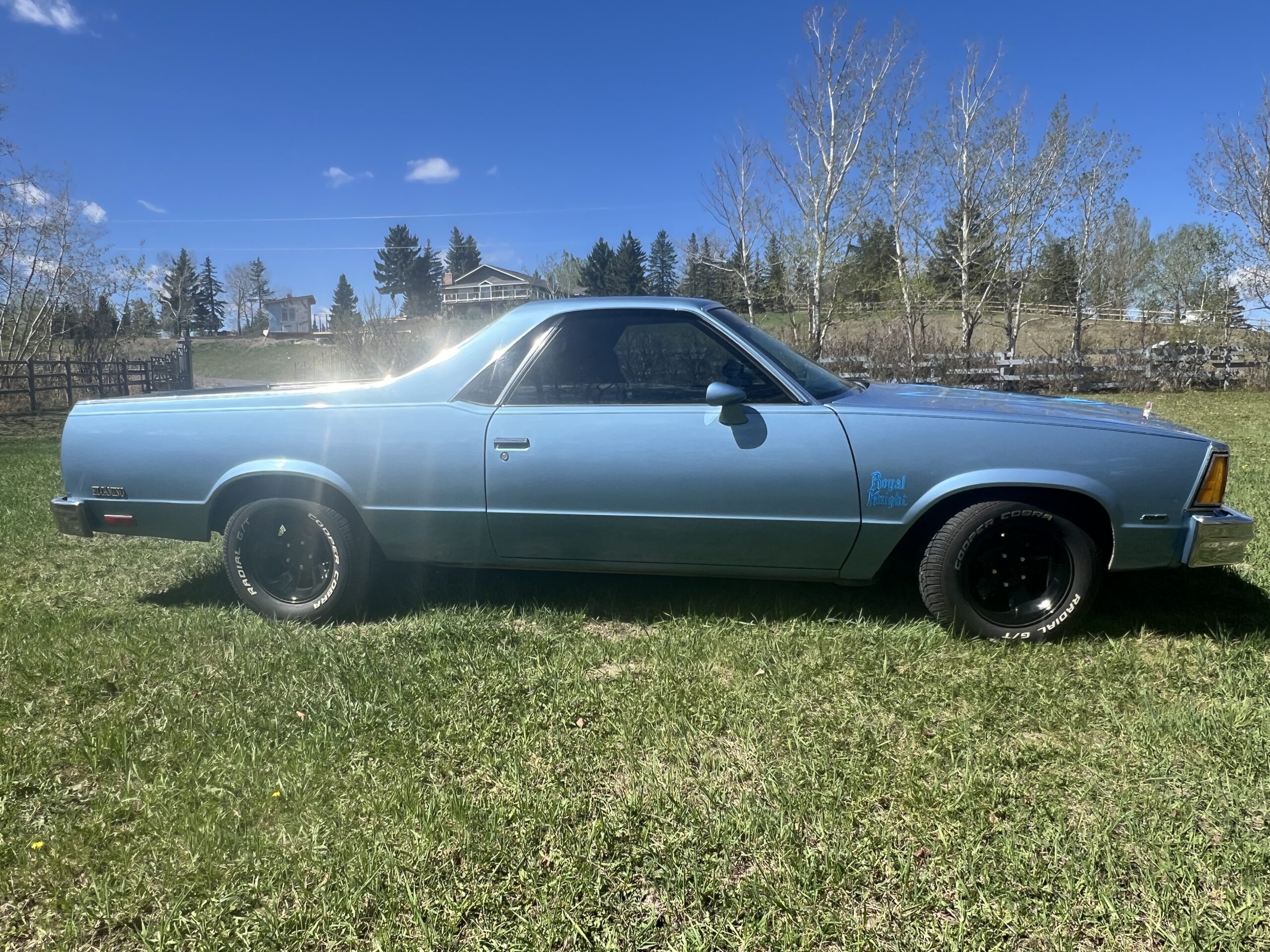 IMG_0608 Randy Pedersen 2025-05-19