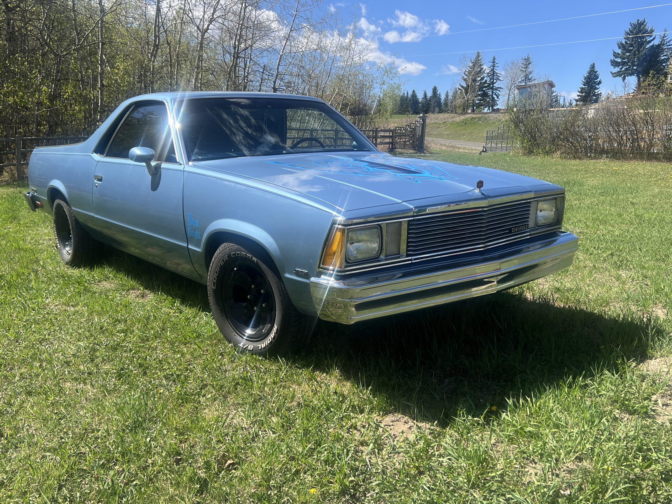 IMG_0609 Randy Pedersen 2025-05-19