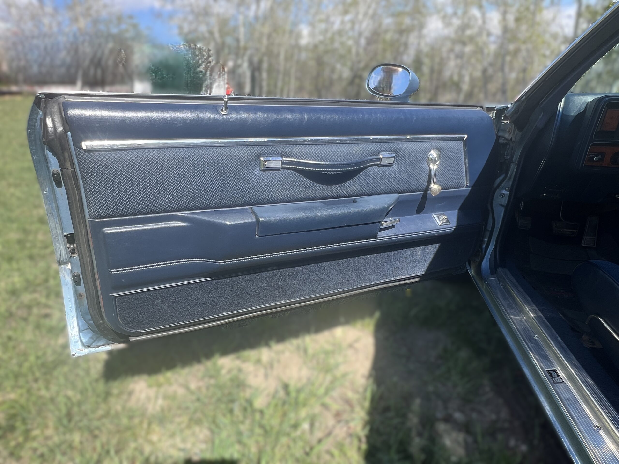 IMG_0611 Randy Pedersen 2025-05-19