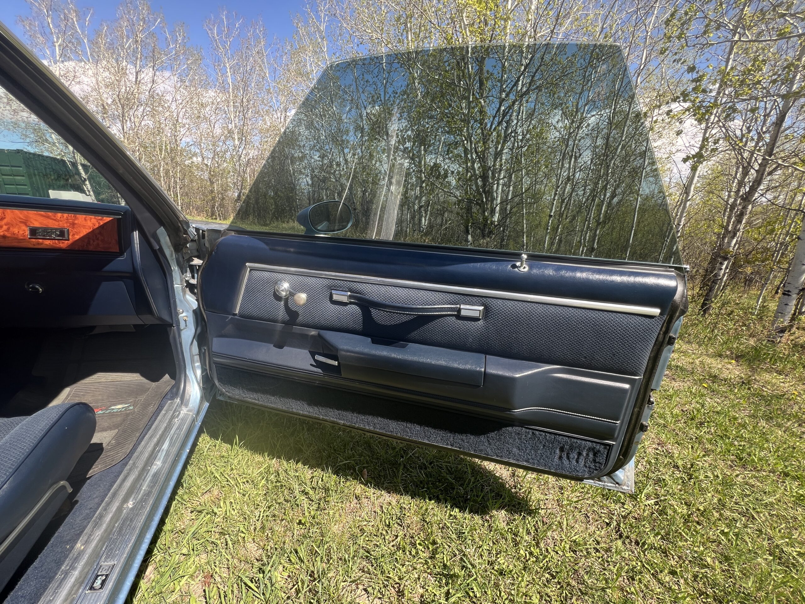 IMG_0617 Randy Pedersen 2025-05-19