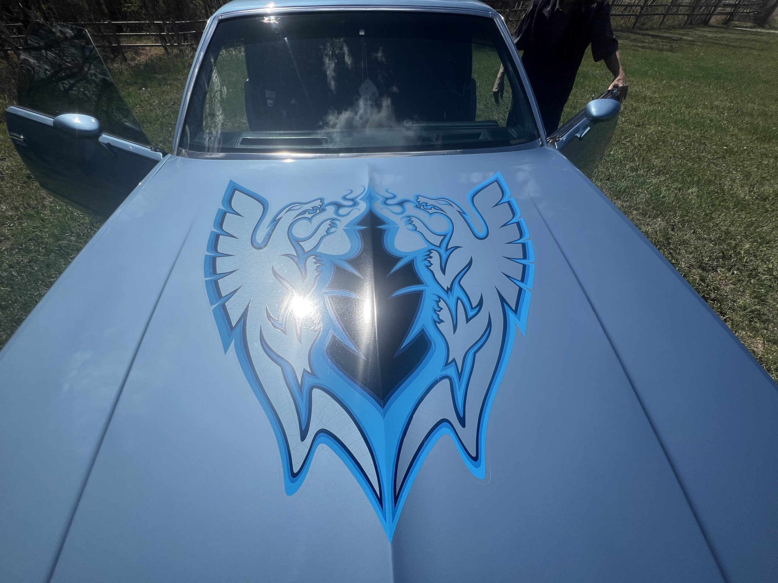 IMG_0619 Randy Pedersen 2025-05-19