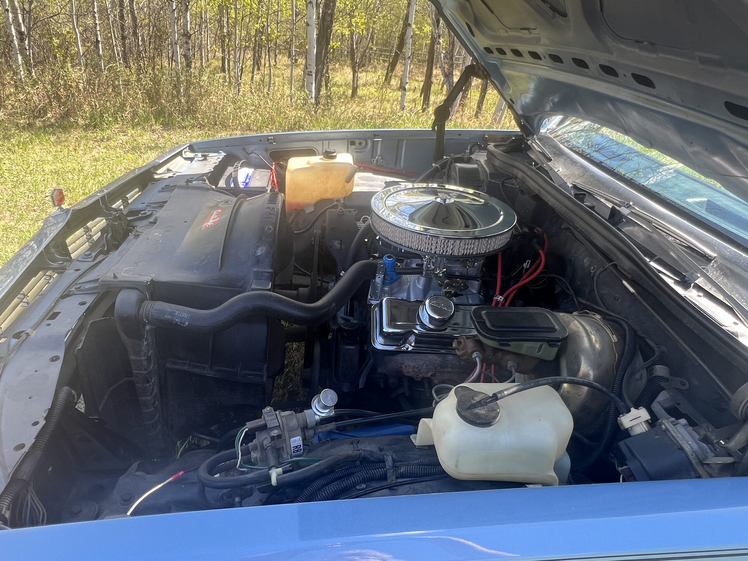 IMG_0622 Randy Pedersen 2025-05-19