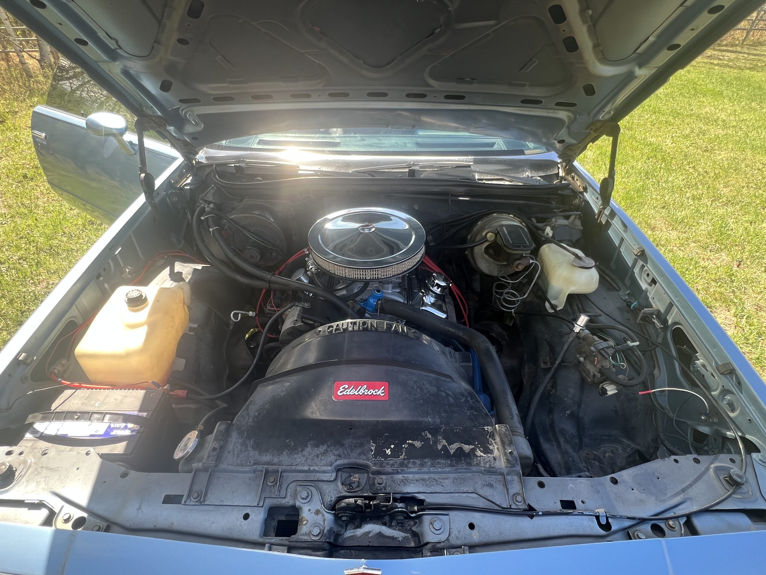 IMG_0623 Randy Pedersen 2025-05-19