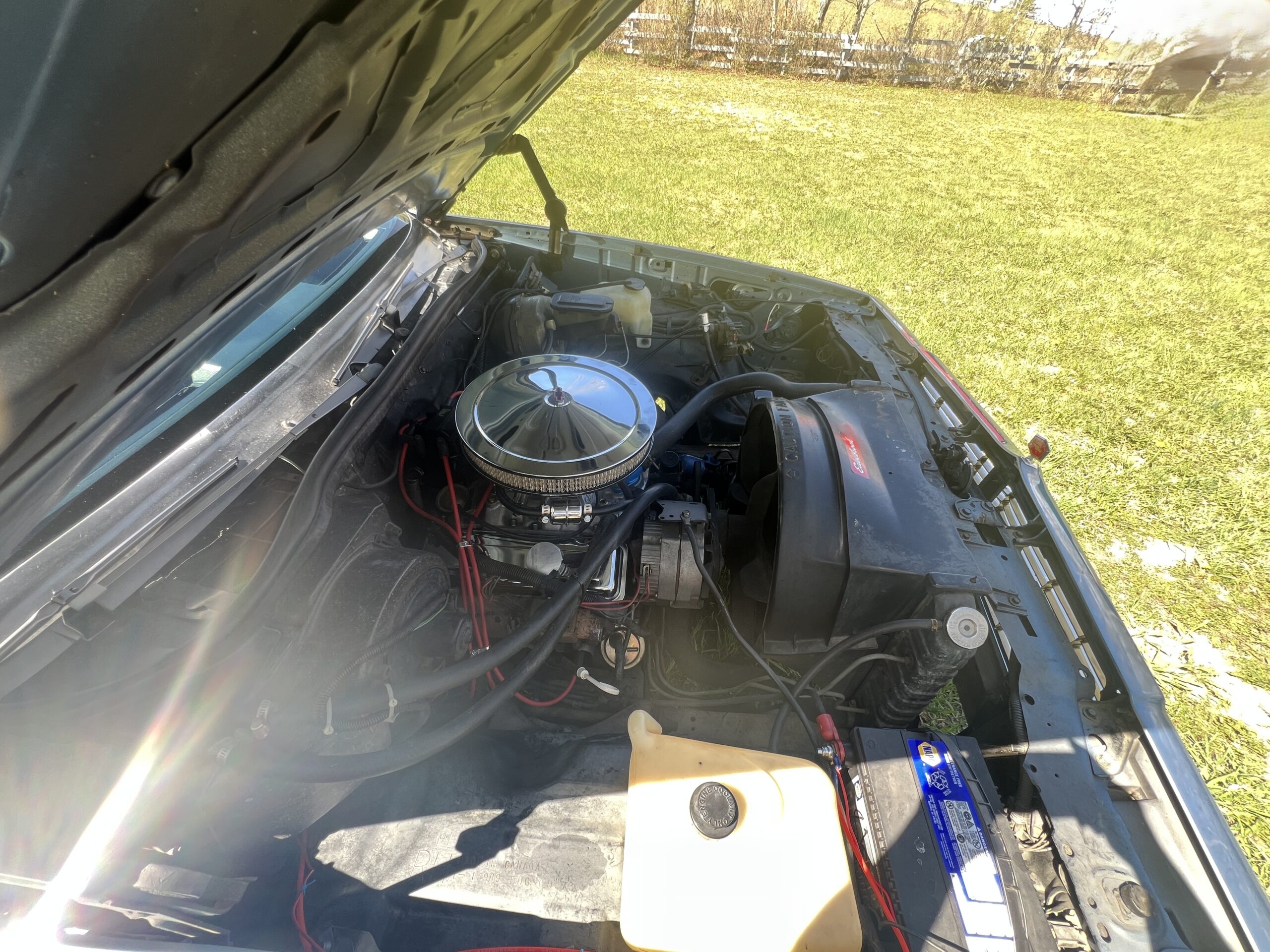 IMG_0624 Randy Pedersen 2025-05-19