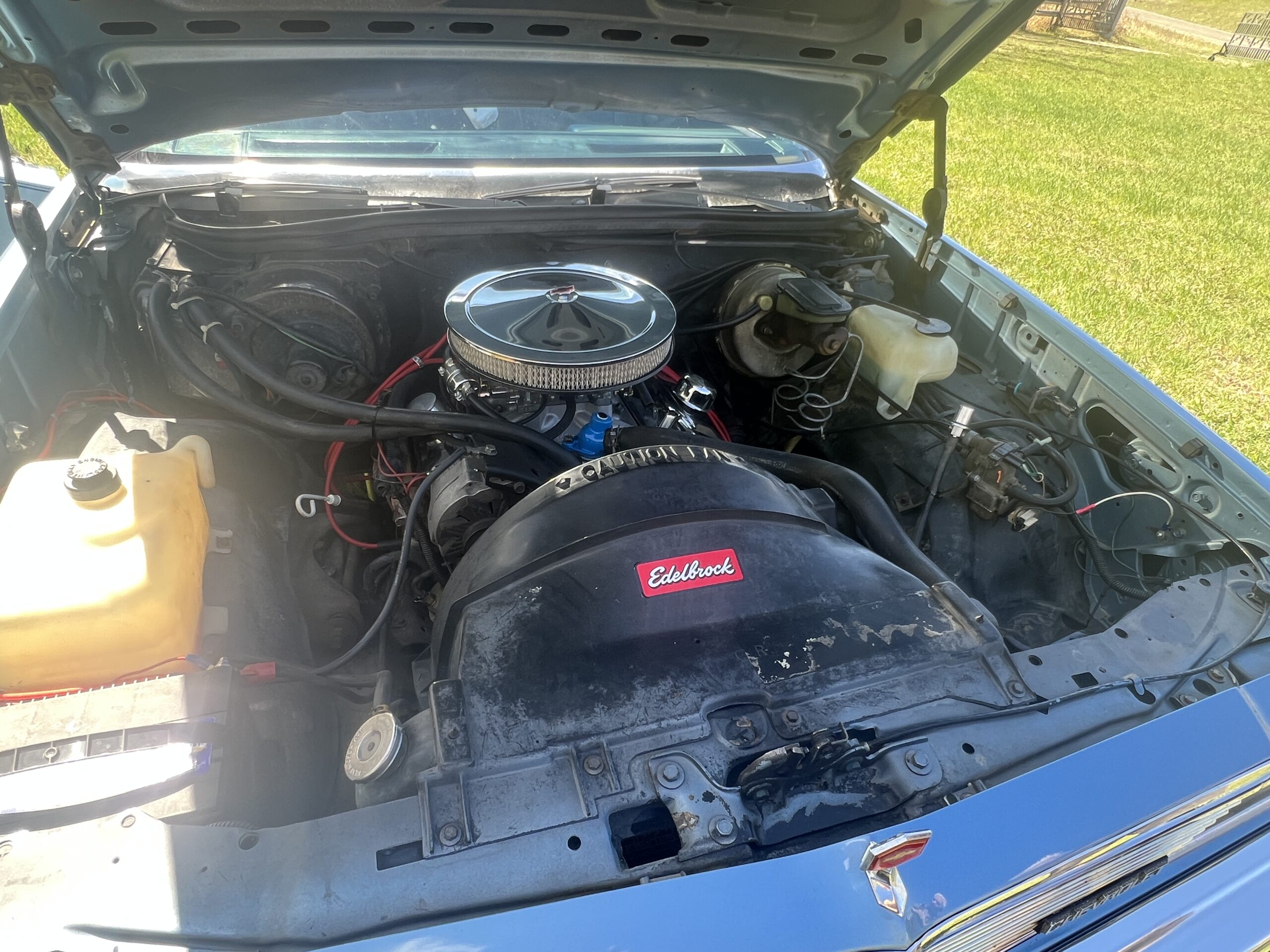 IMG_0625 Randy Pedersen 2025-05-19