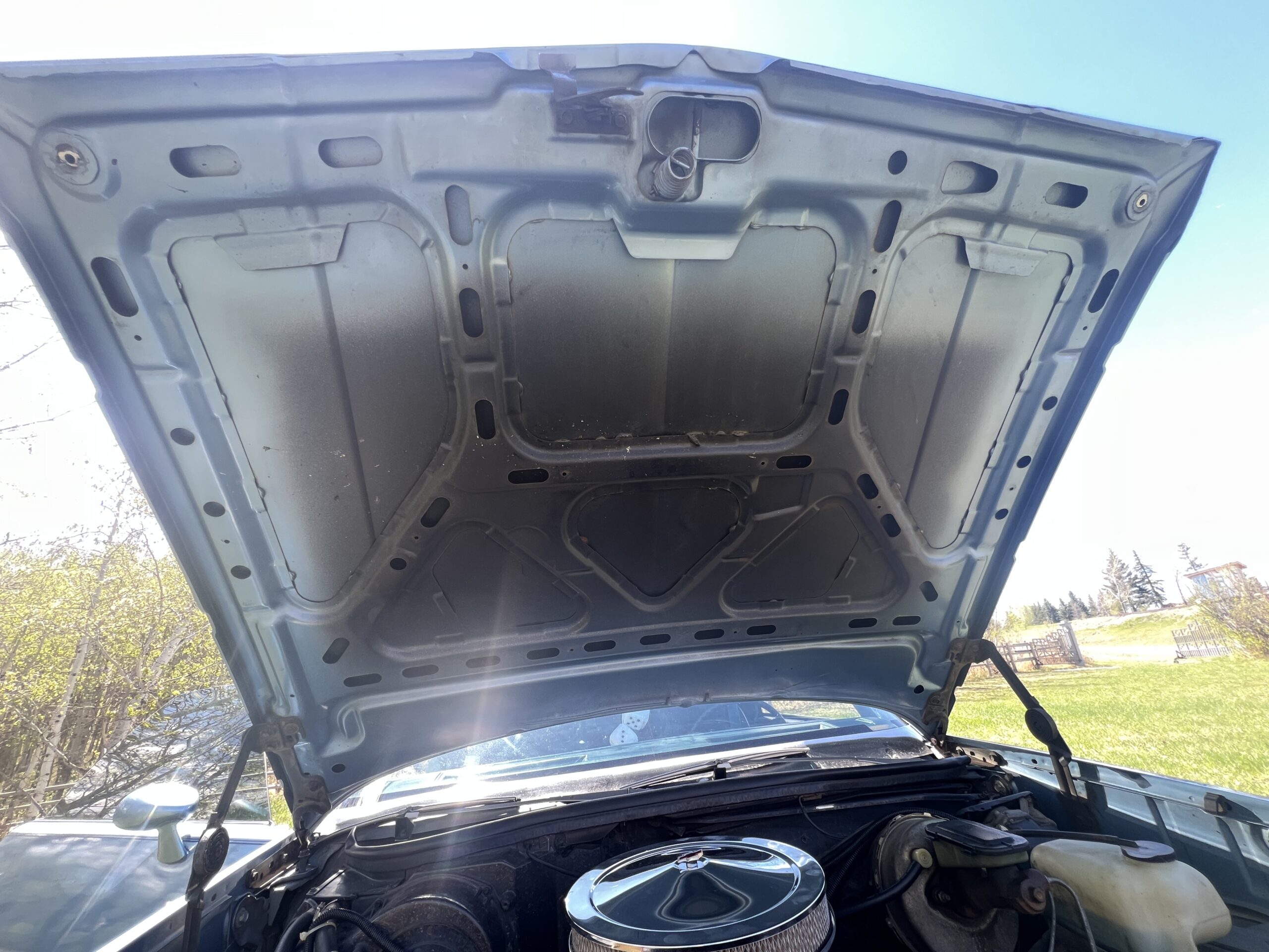 IMG_0626 Randy Pedersen 2025-05-19