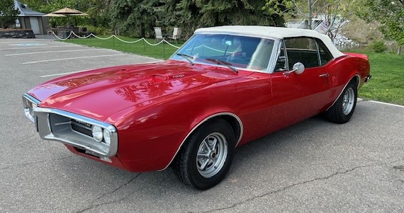 IMG_1456 Dave Forseth 2025-05-20