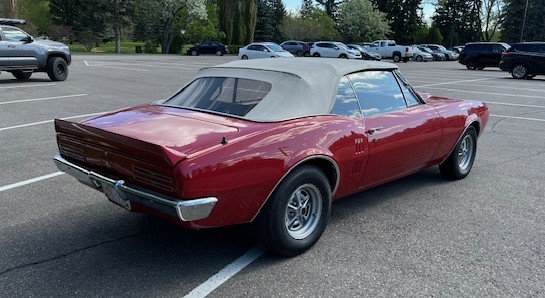 IMG_1462 Dave Forseth 2025-05-20