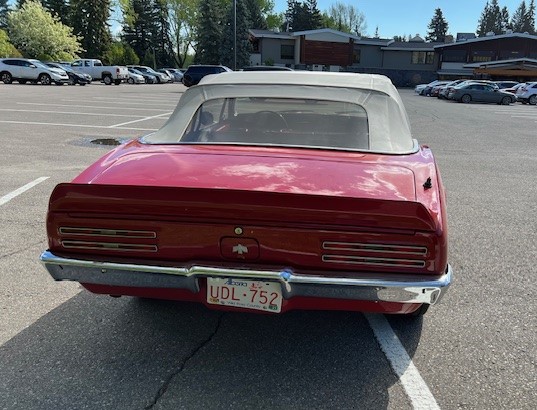 IMG_1463 Dave Forseth 2025-05-20