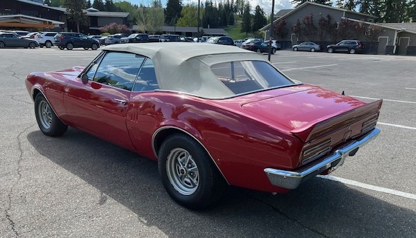 IMG_1464 Dave Forseth 2025-05-20