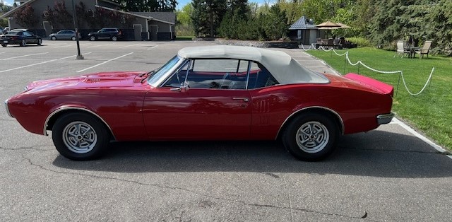 IMG_1465 Dave Forseth 2025-05-20