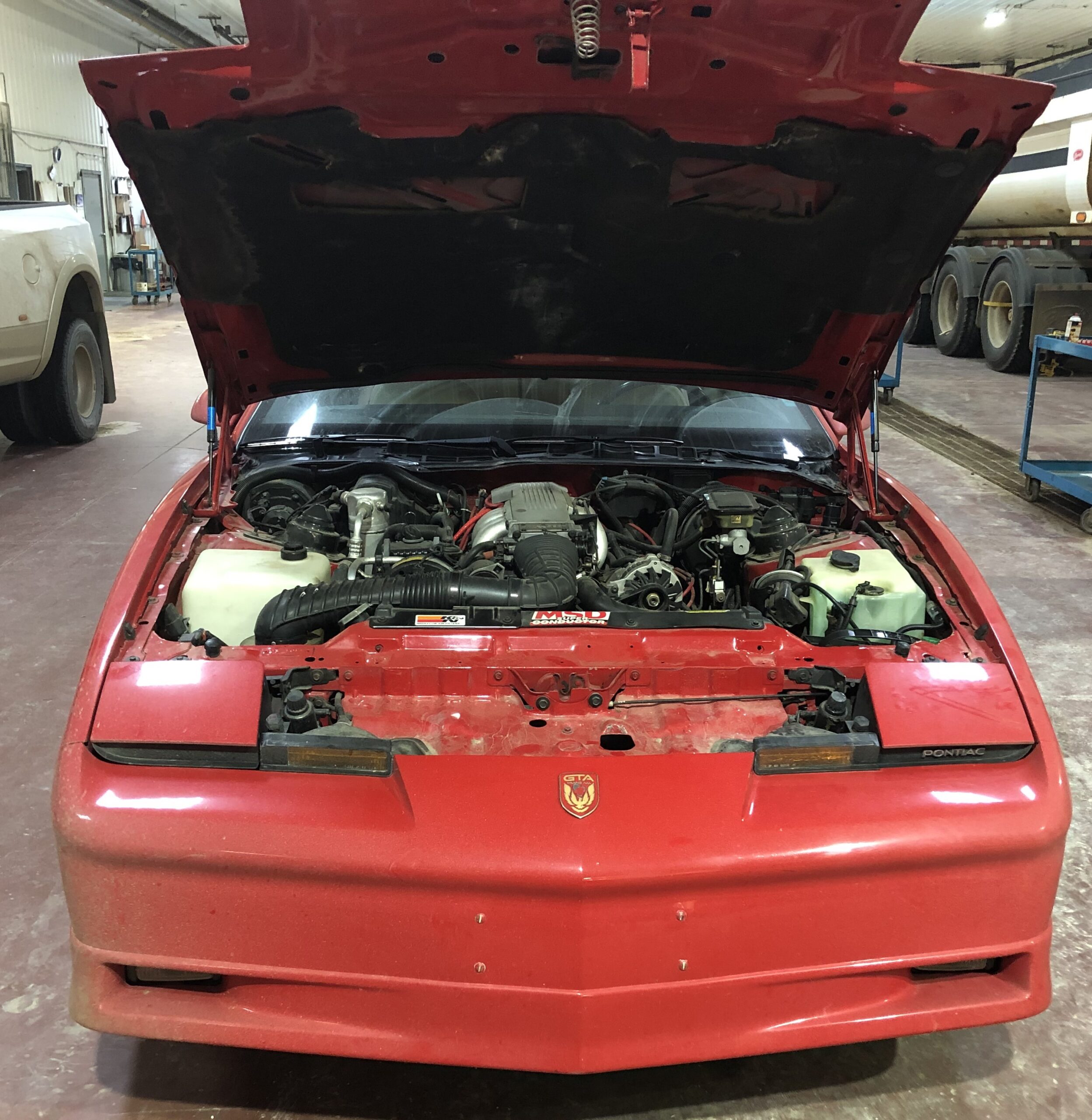 IMG_2779 Elvira Boley 2025-05-20