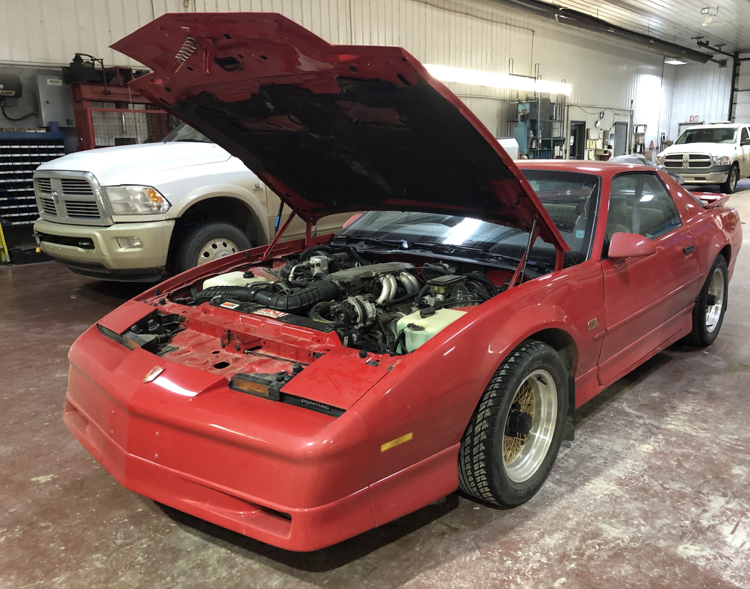 IMG_2780 Elvira Boley 2025-05-20