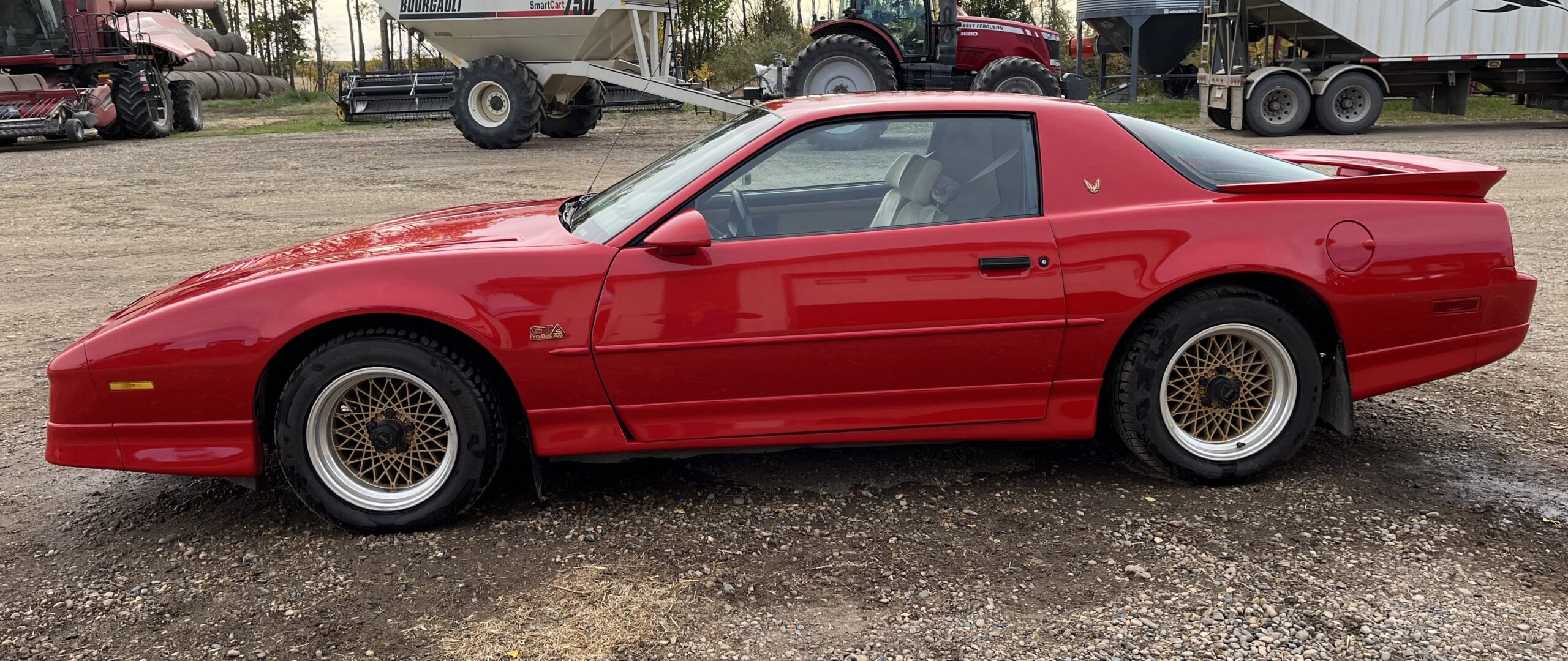 IMG_4730 Elvira Boley 2025-05-20