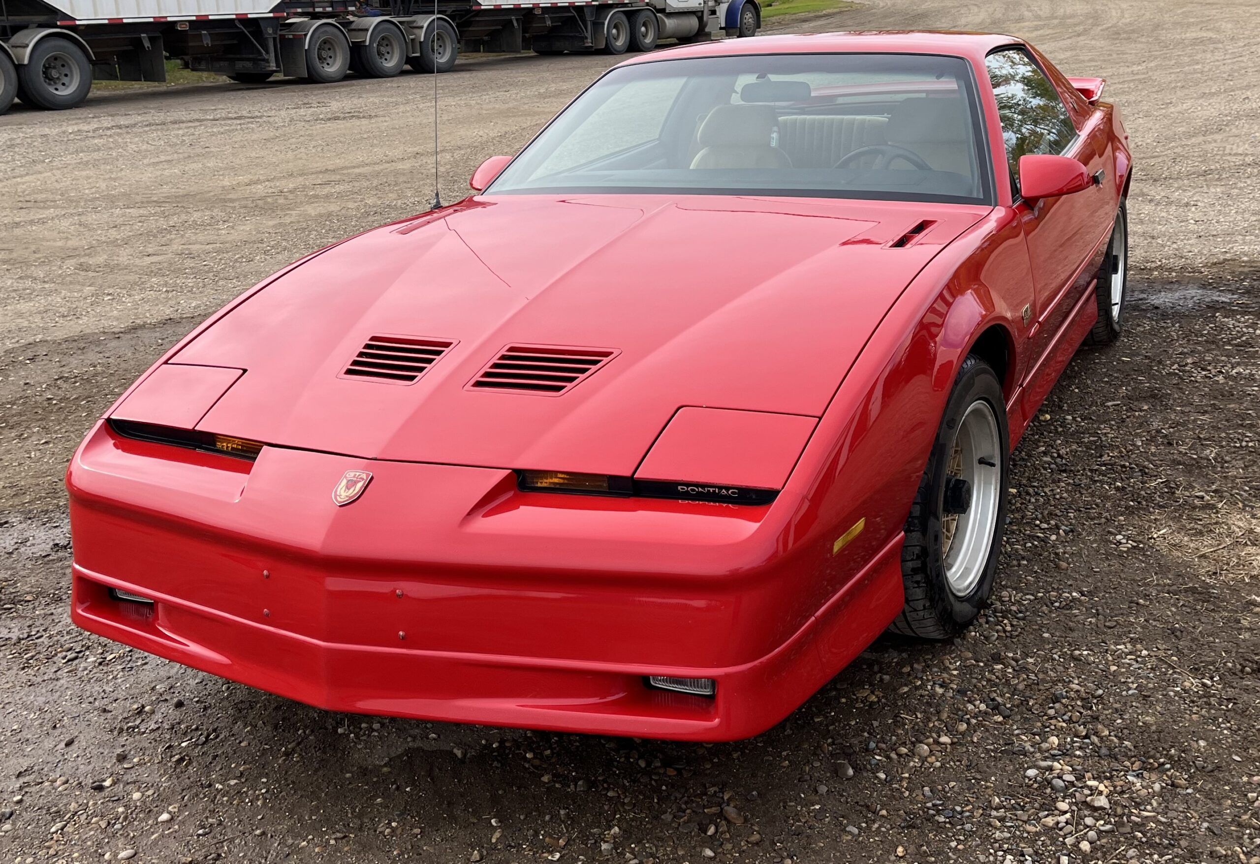 IMG_4731 Elvira Boley 2025-05-20