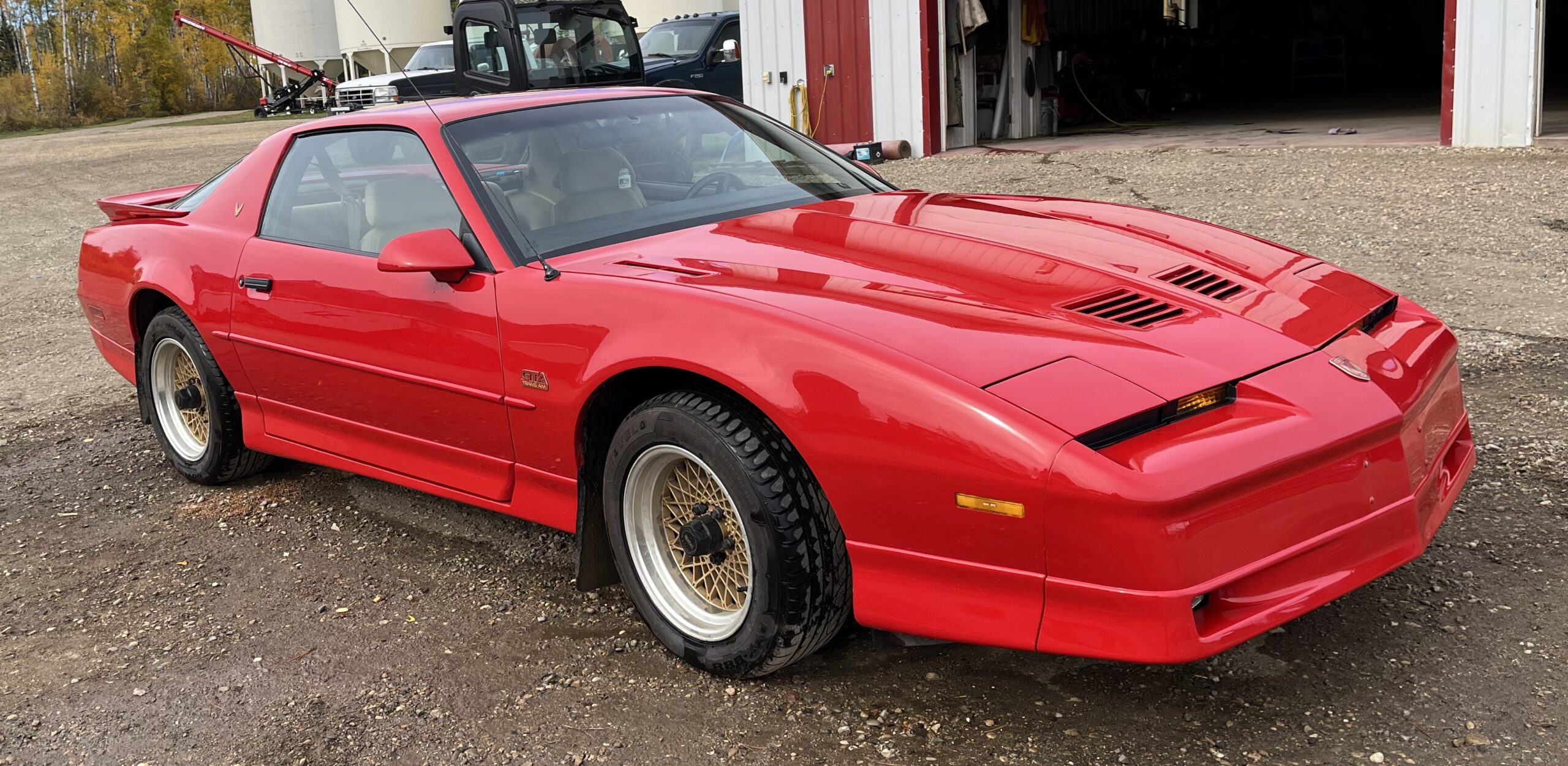 IMG_4732 Elvira Boley 2025-05-20