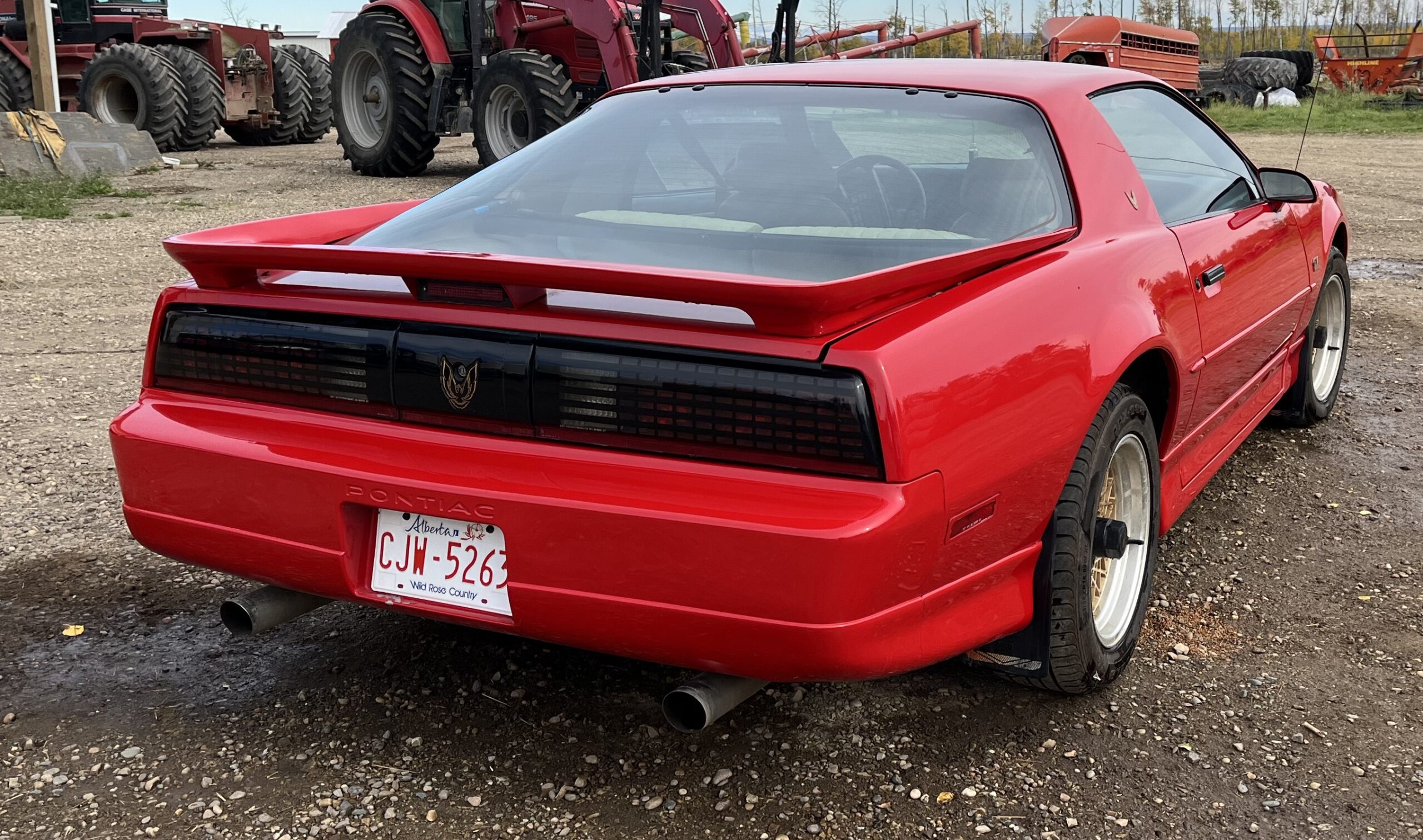 IMG_4733 Elvira Boley 2025-05-20