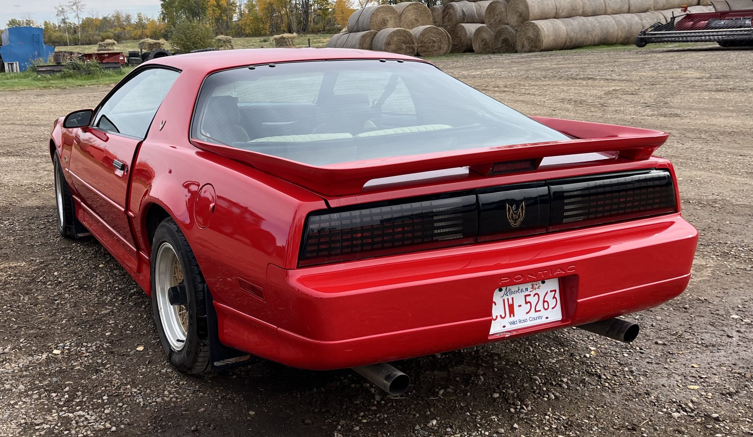 IMG_4734 Elvira Boley 2025-05-20