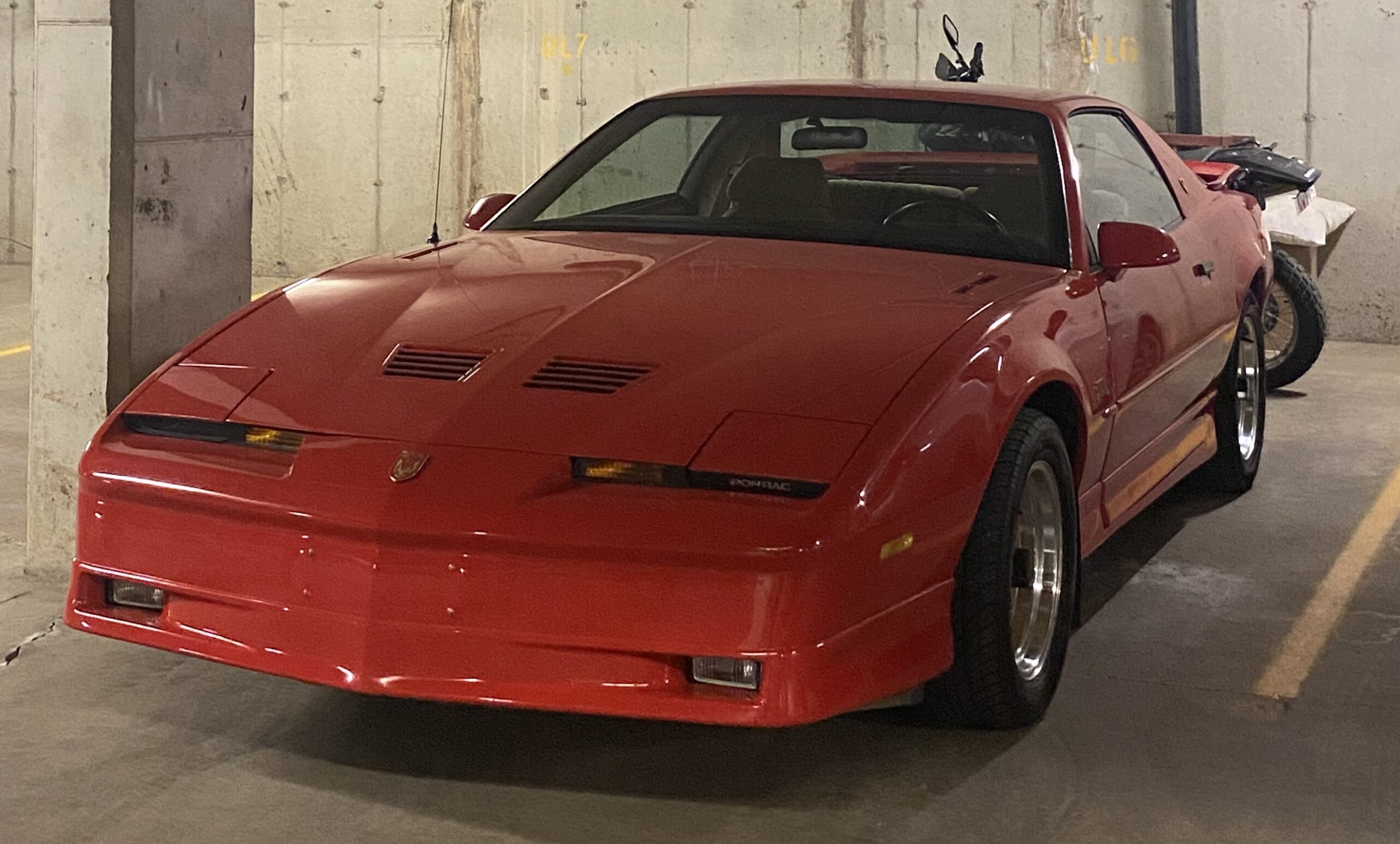 IMG_5786 Elvira Boley 2025-05-20