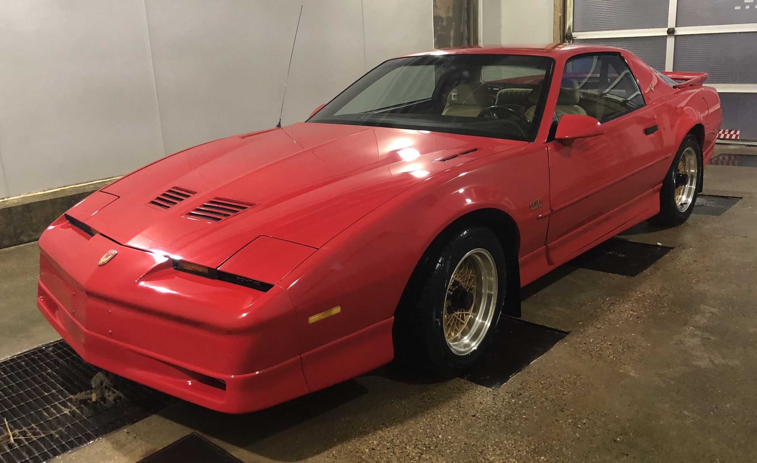 IMG_6346 Elvira Boley 2025-05-20