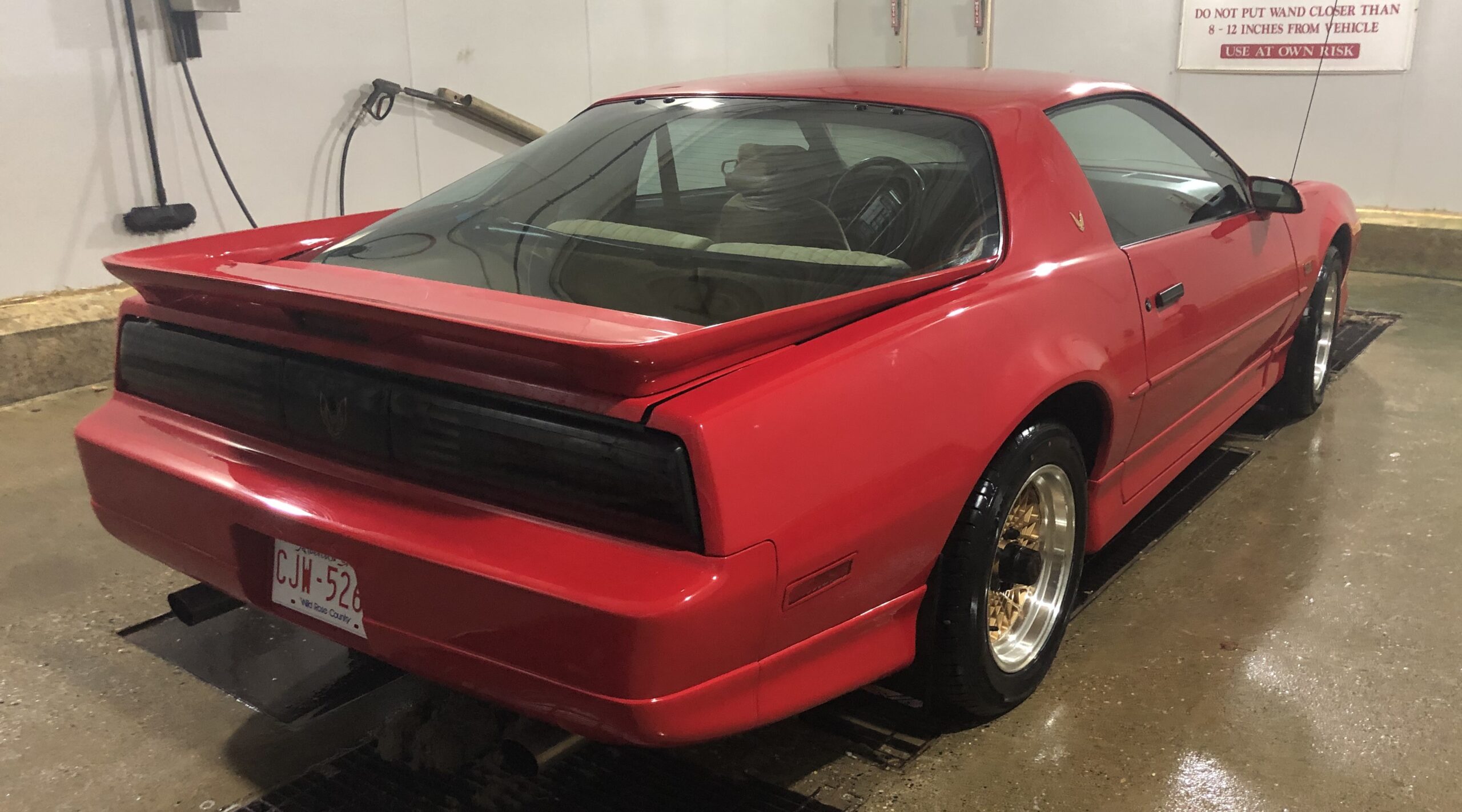 IMG_6347 Elvira Boley 2025-05-20