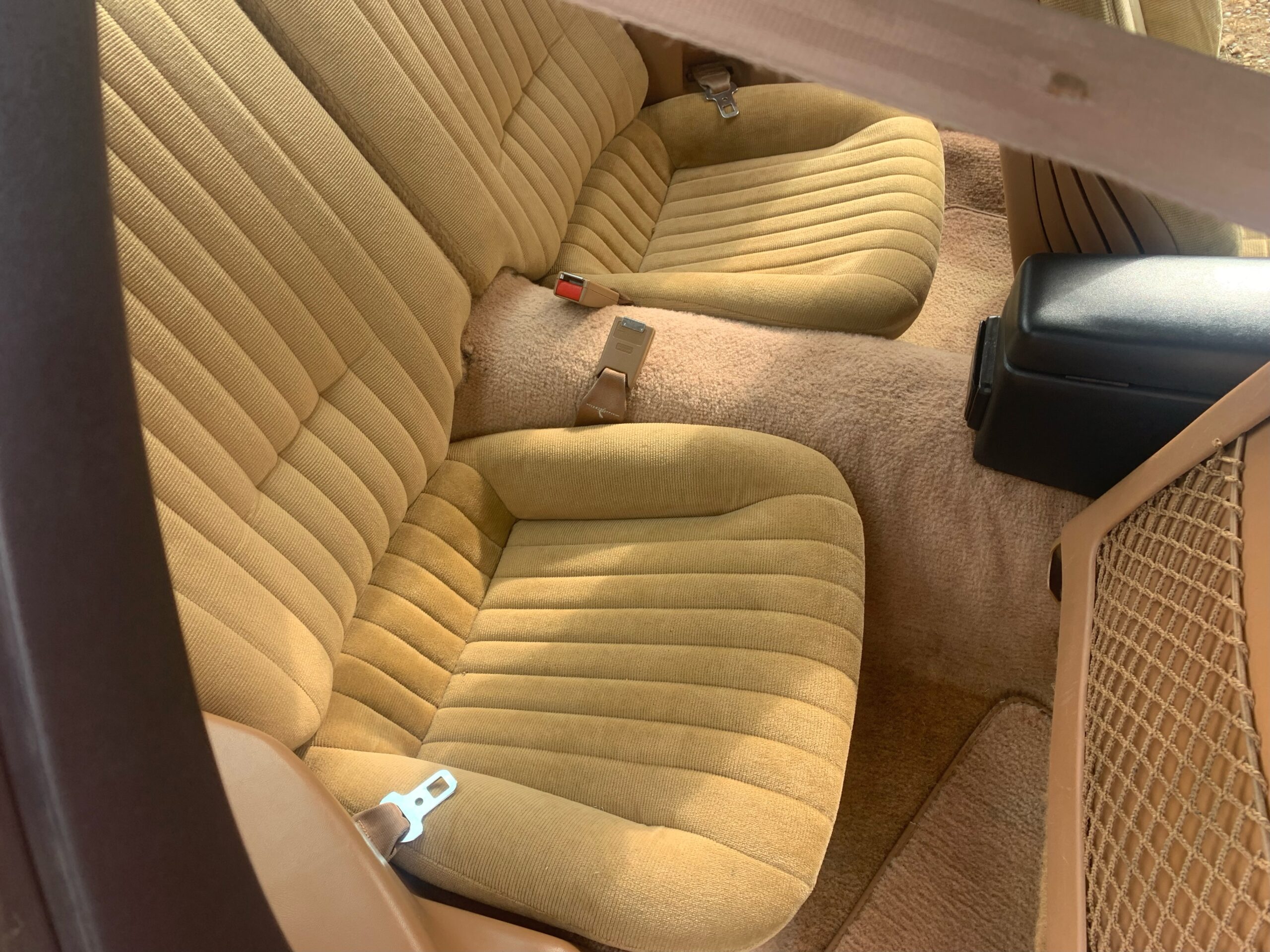 IMG_9027 Elvira Boley 2025-05-20