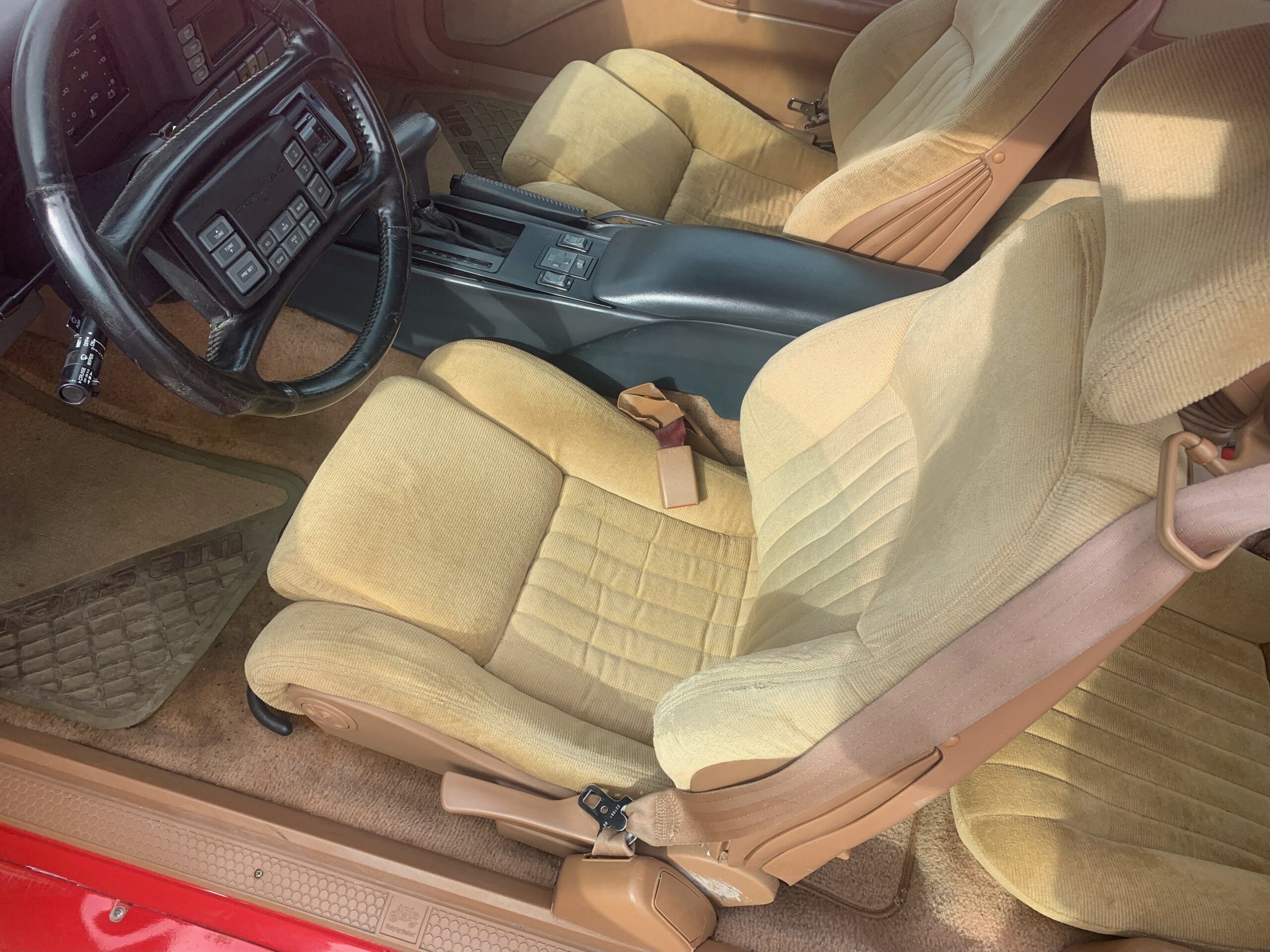 IMG_9028 Elvira Boley 2025-05-20