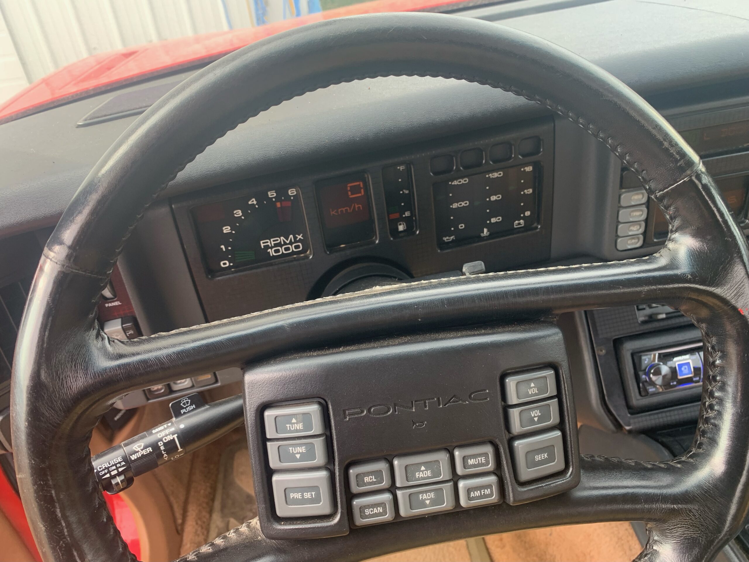 IMG_9030 Elvira Boley 2025-05-20