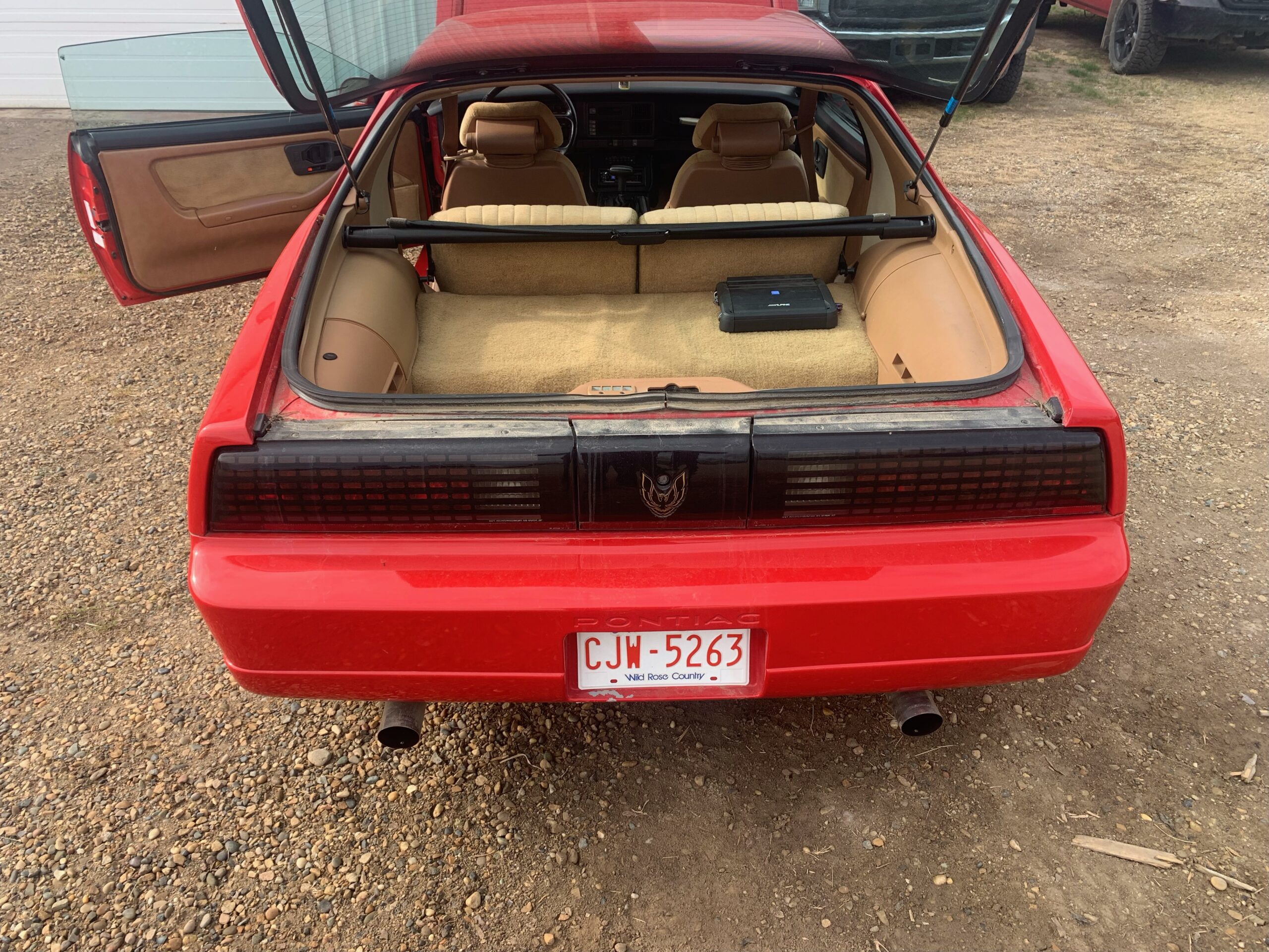 IMG_9033 Elvira Boley 2025-05-20