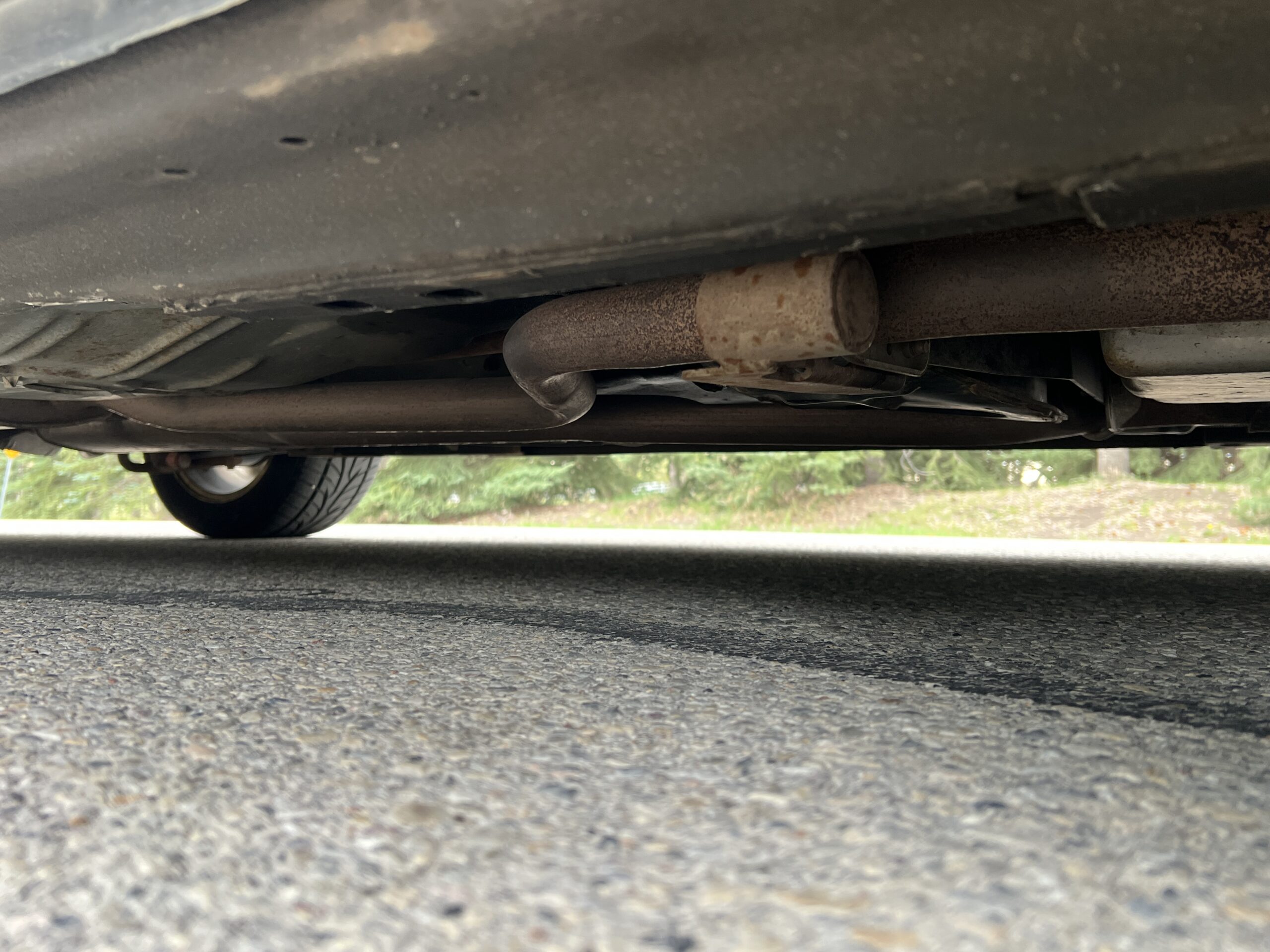 Photo 2025-05-07, 4 58 21 PM