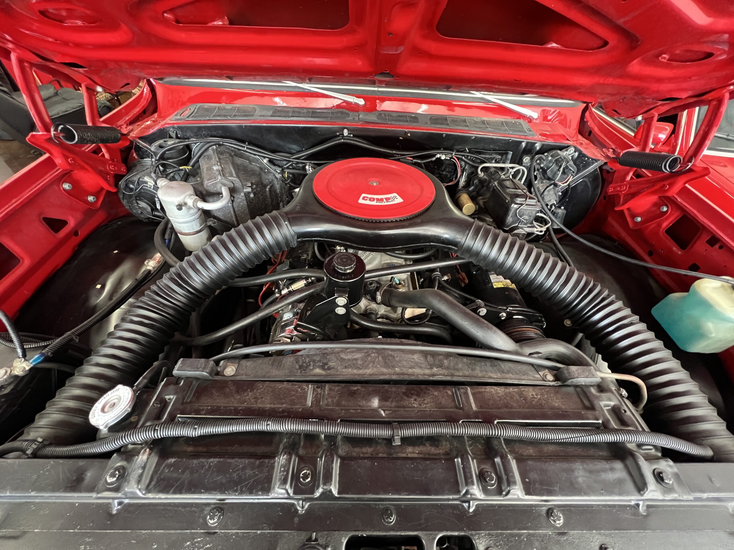 Photo 2025-05-08, 10 00 48 AM