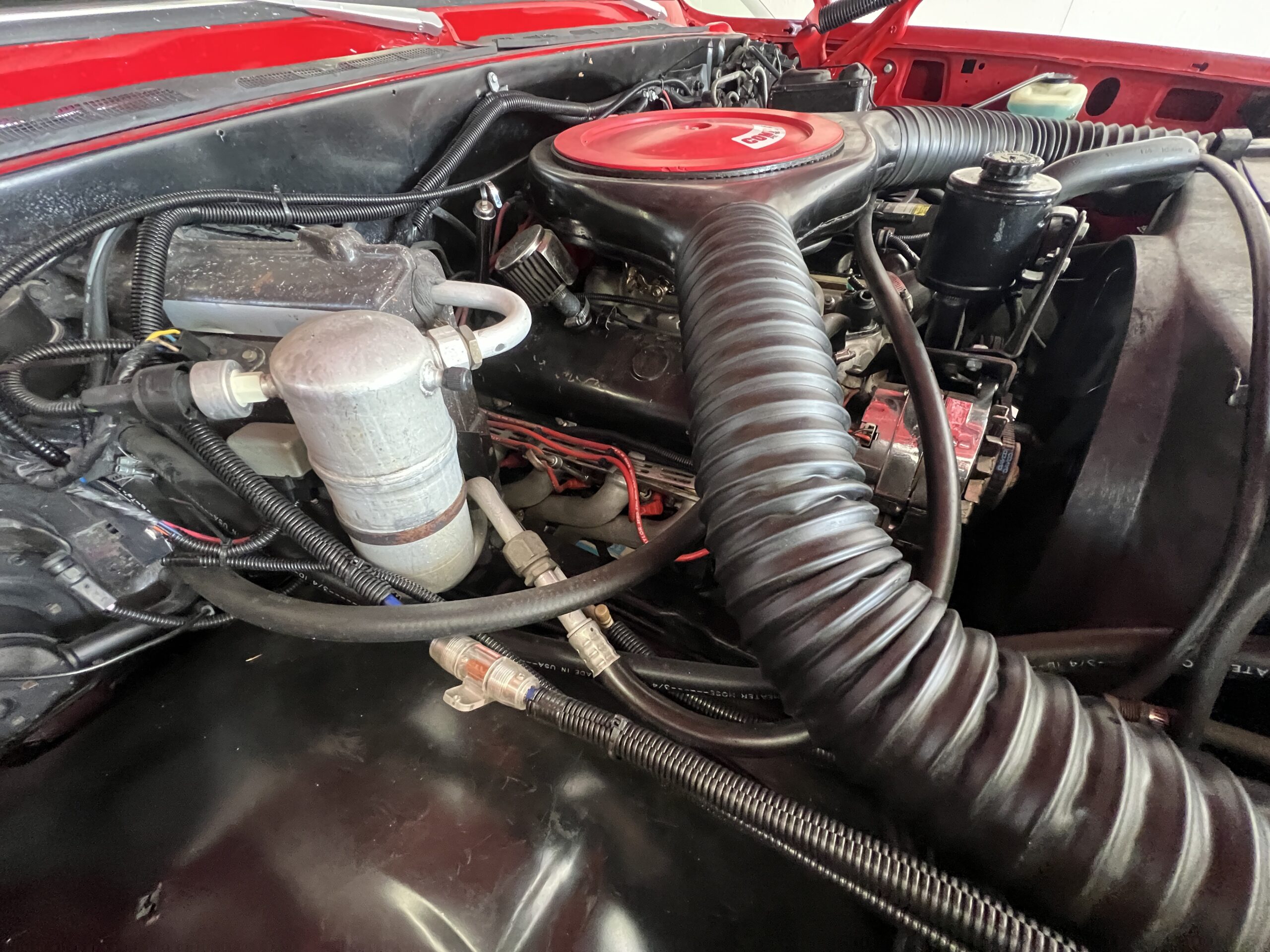 Photo 2025-05-08, 10 01 06 AM