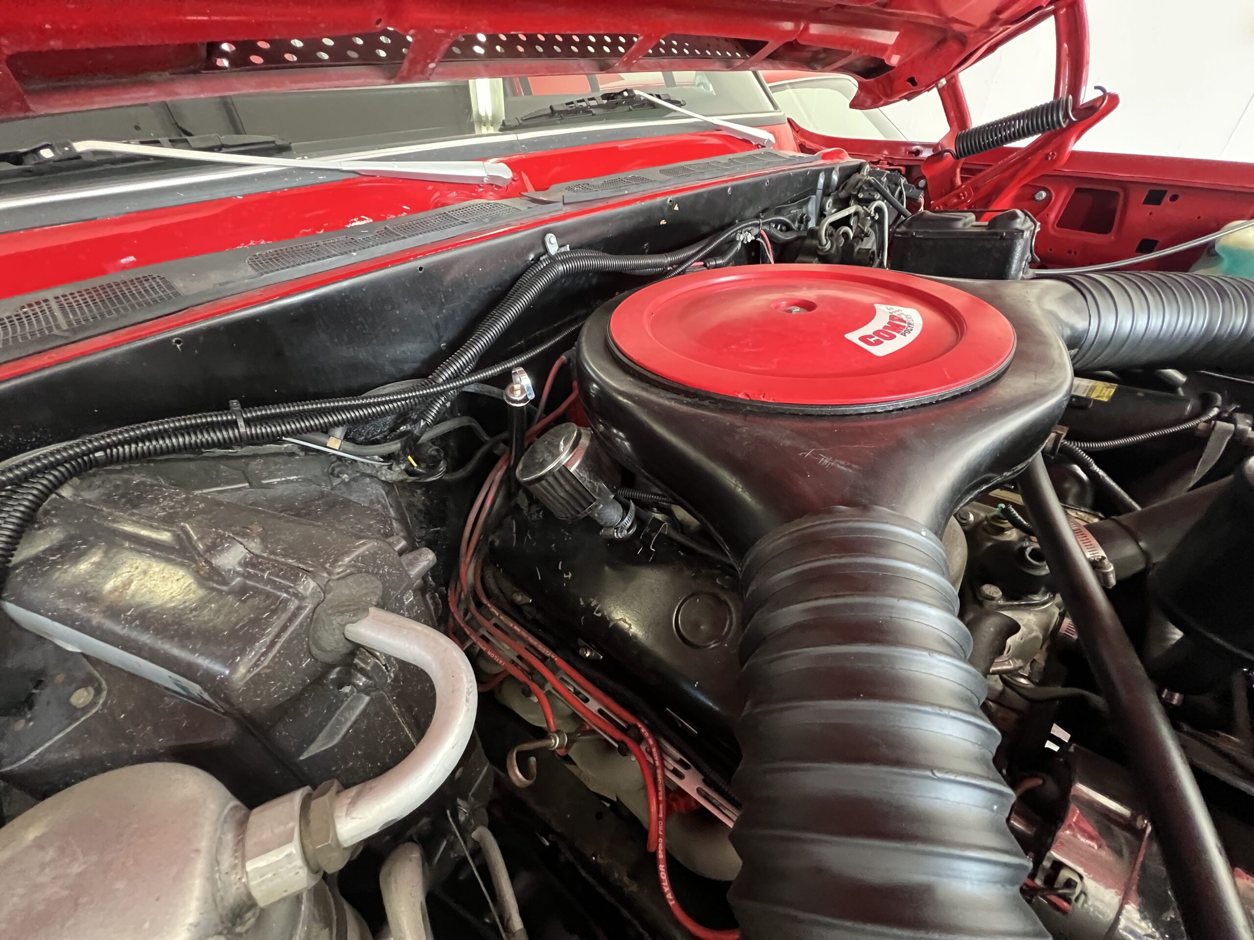 Photo 2025-05-08, 10 02 08 AM