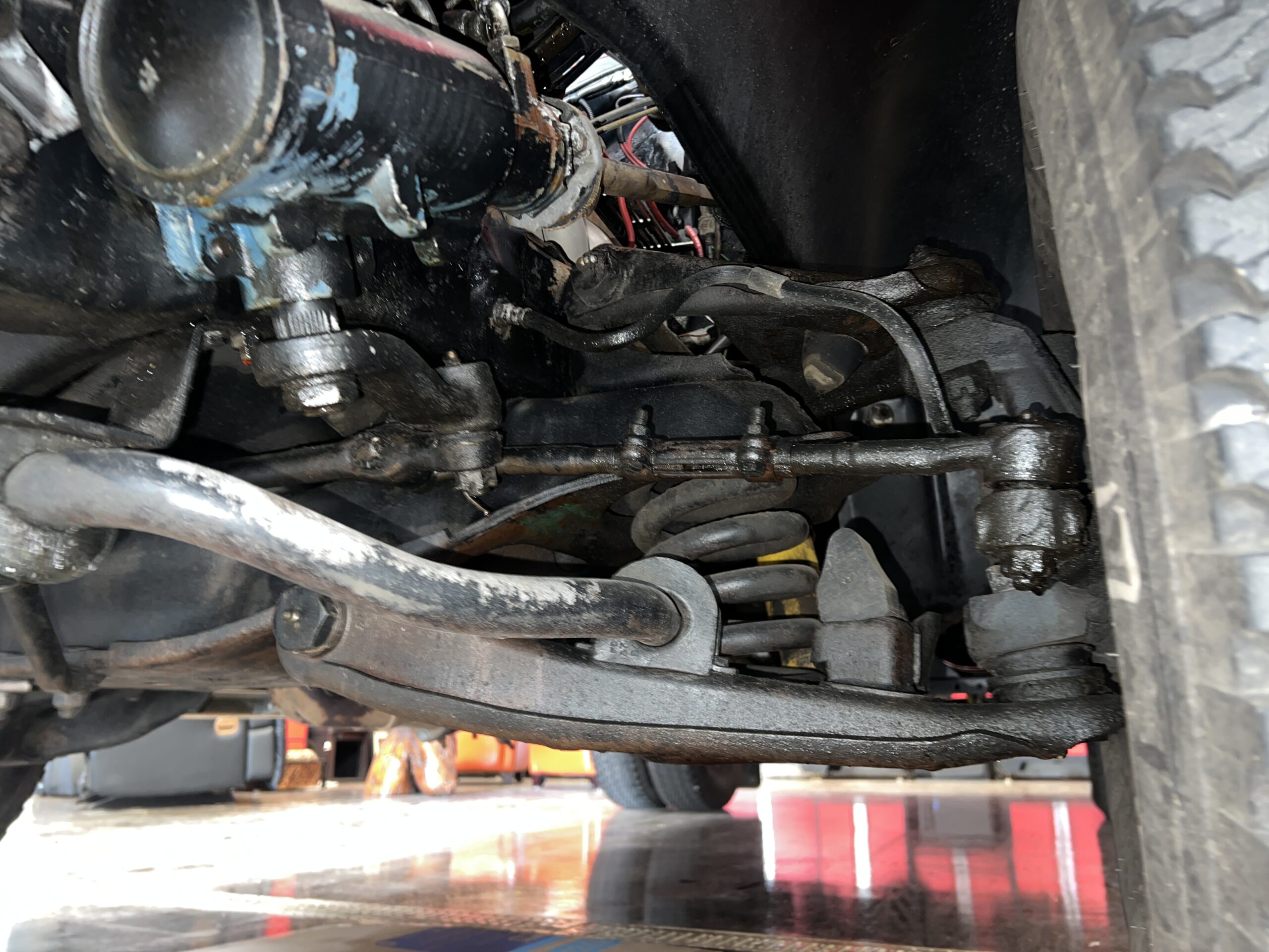 Photo 2025-05-08, 10 09 13 AM