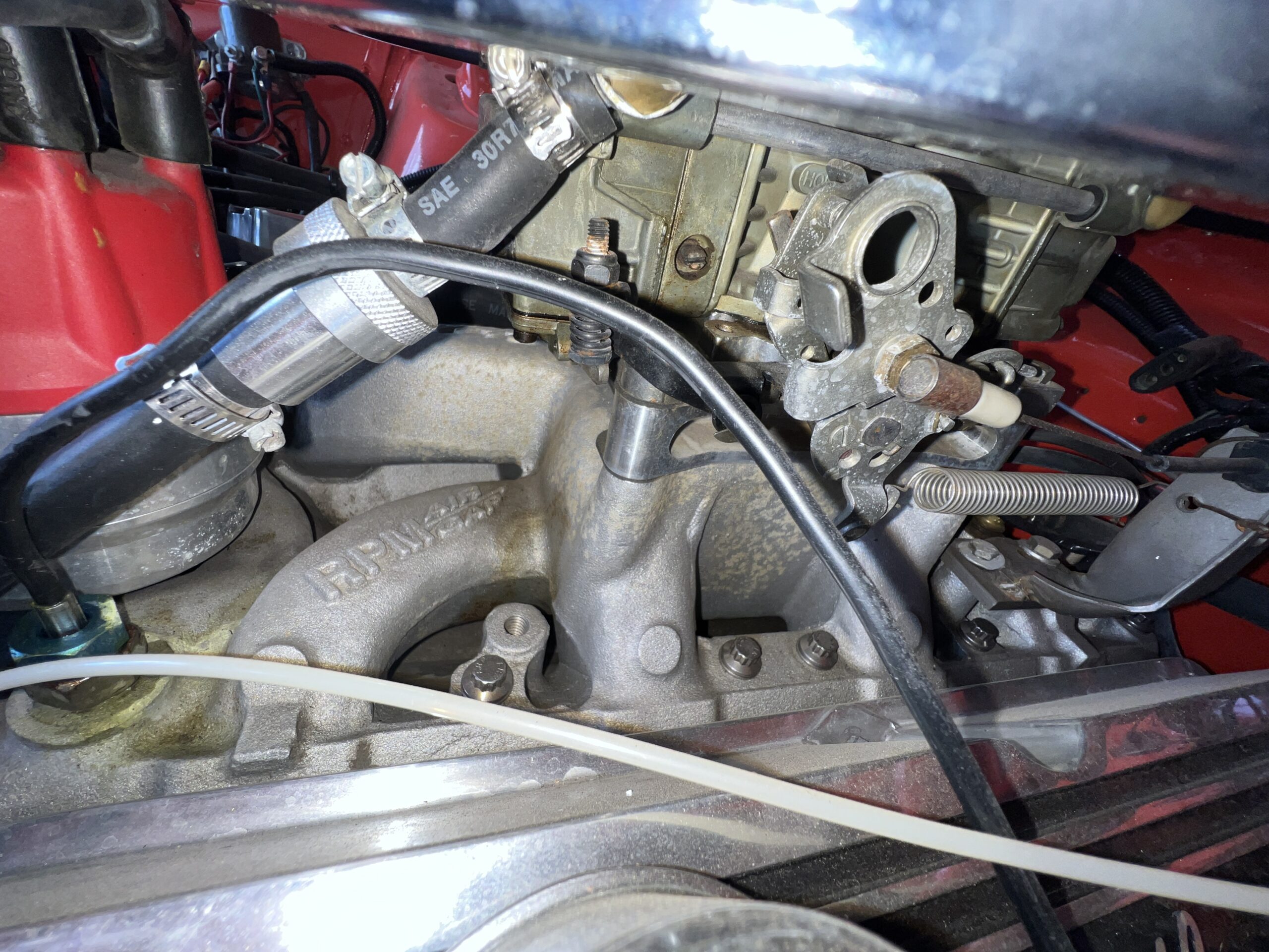 Photo 2025-05-08, 10 15 34 AM