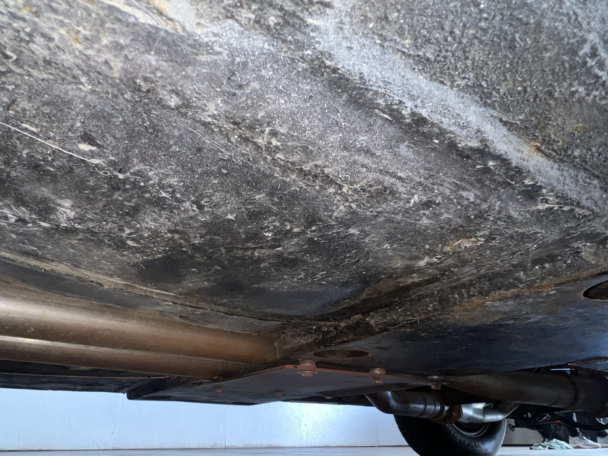 Photo 2025-05-08, 10 19 12 AM