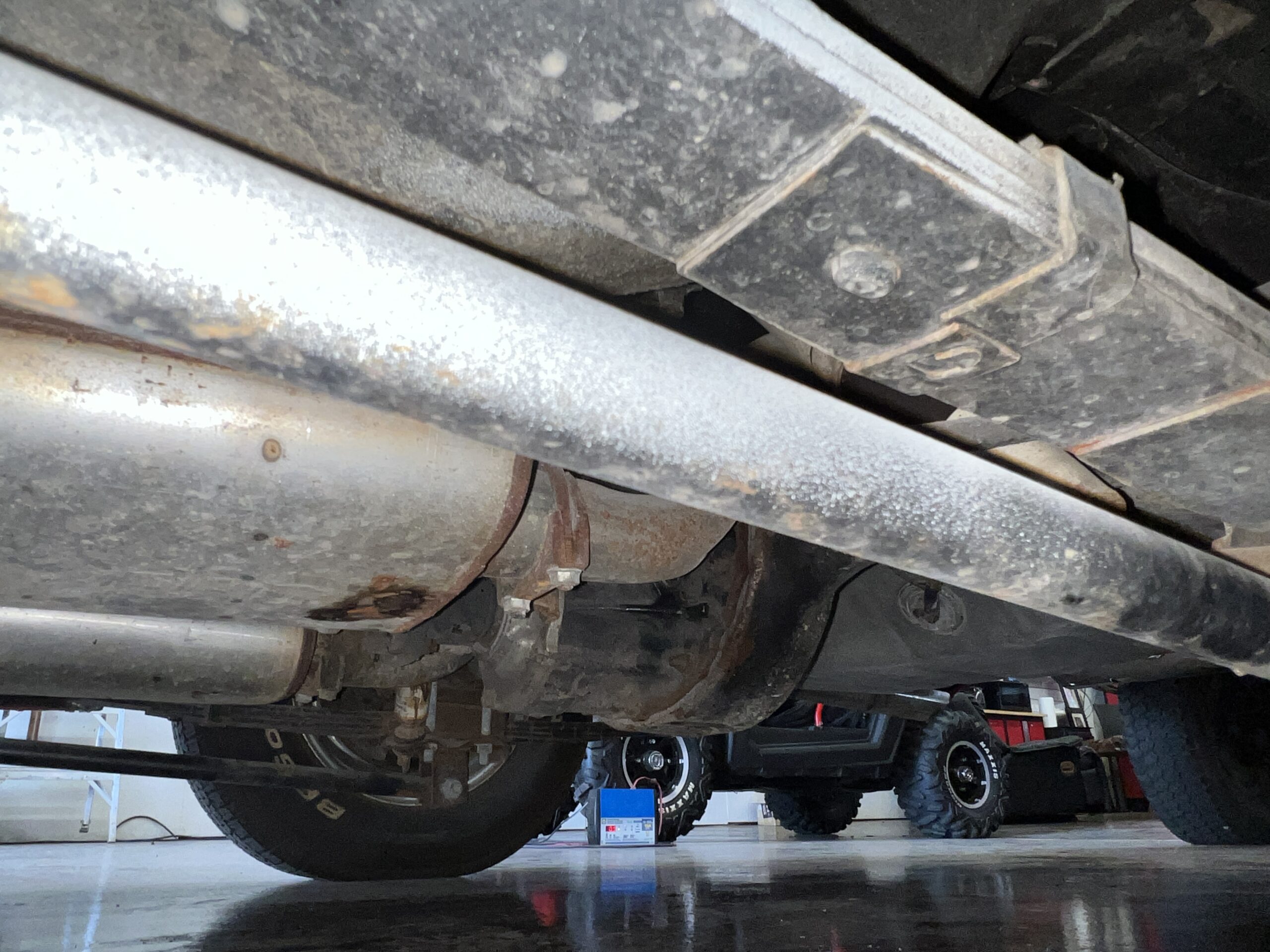 Photo 2025-05-08, 10 20 09 AM