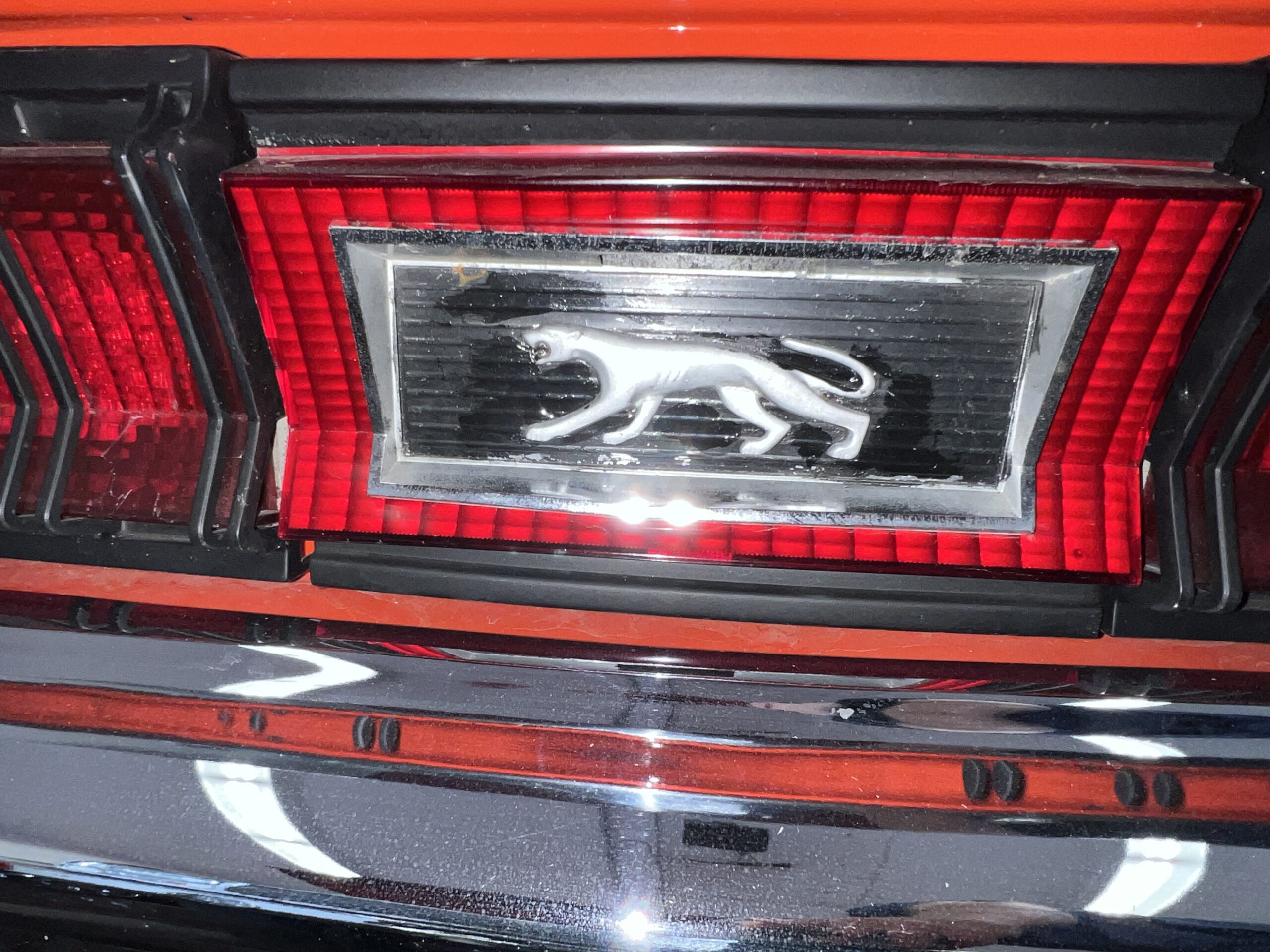 Photo 2025-05-08, 10 24 13 AM