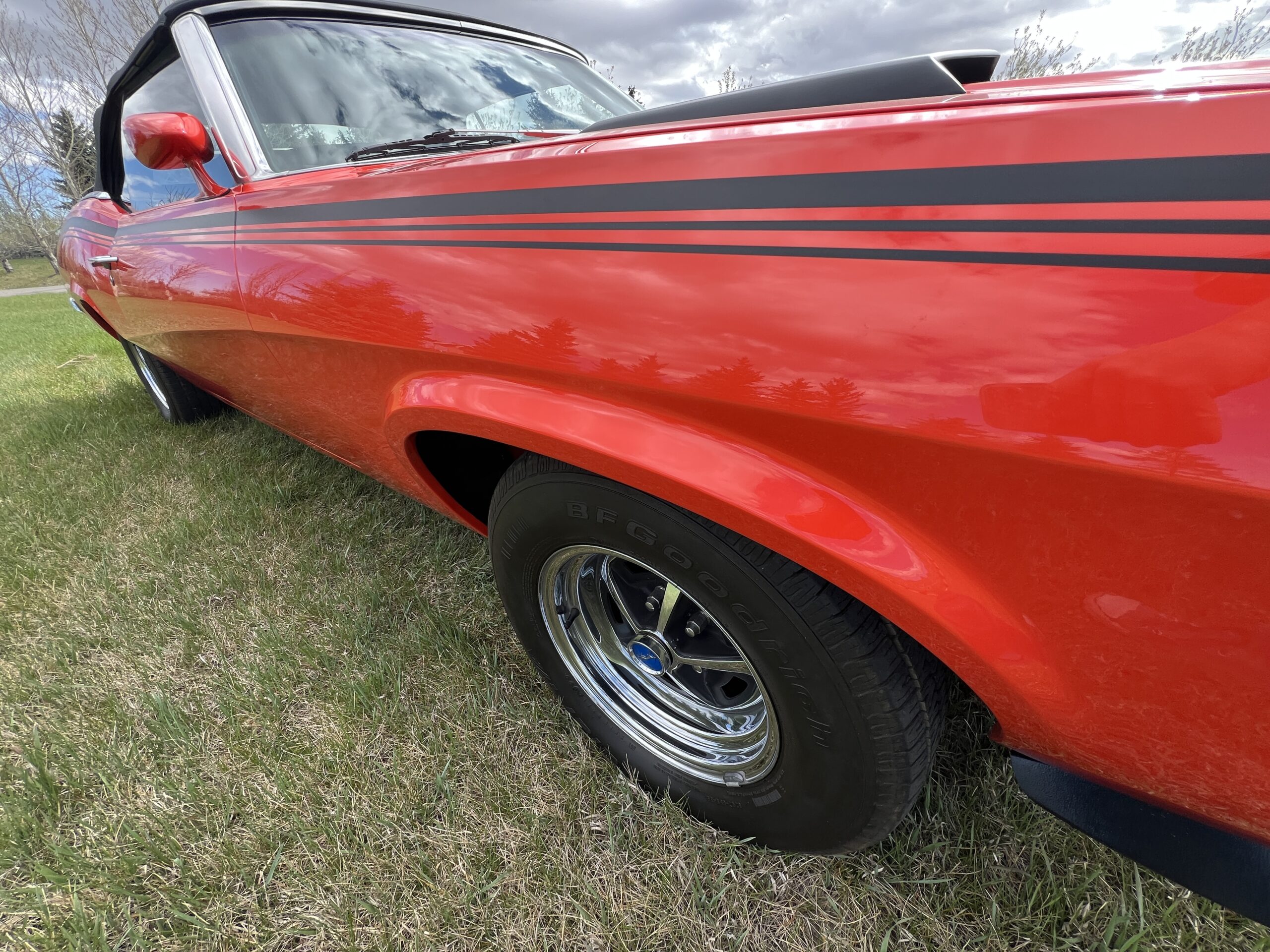 Photo 2025-05-08, 10 38 03 AM