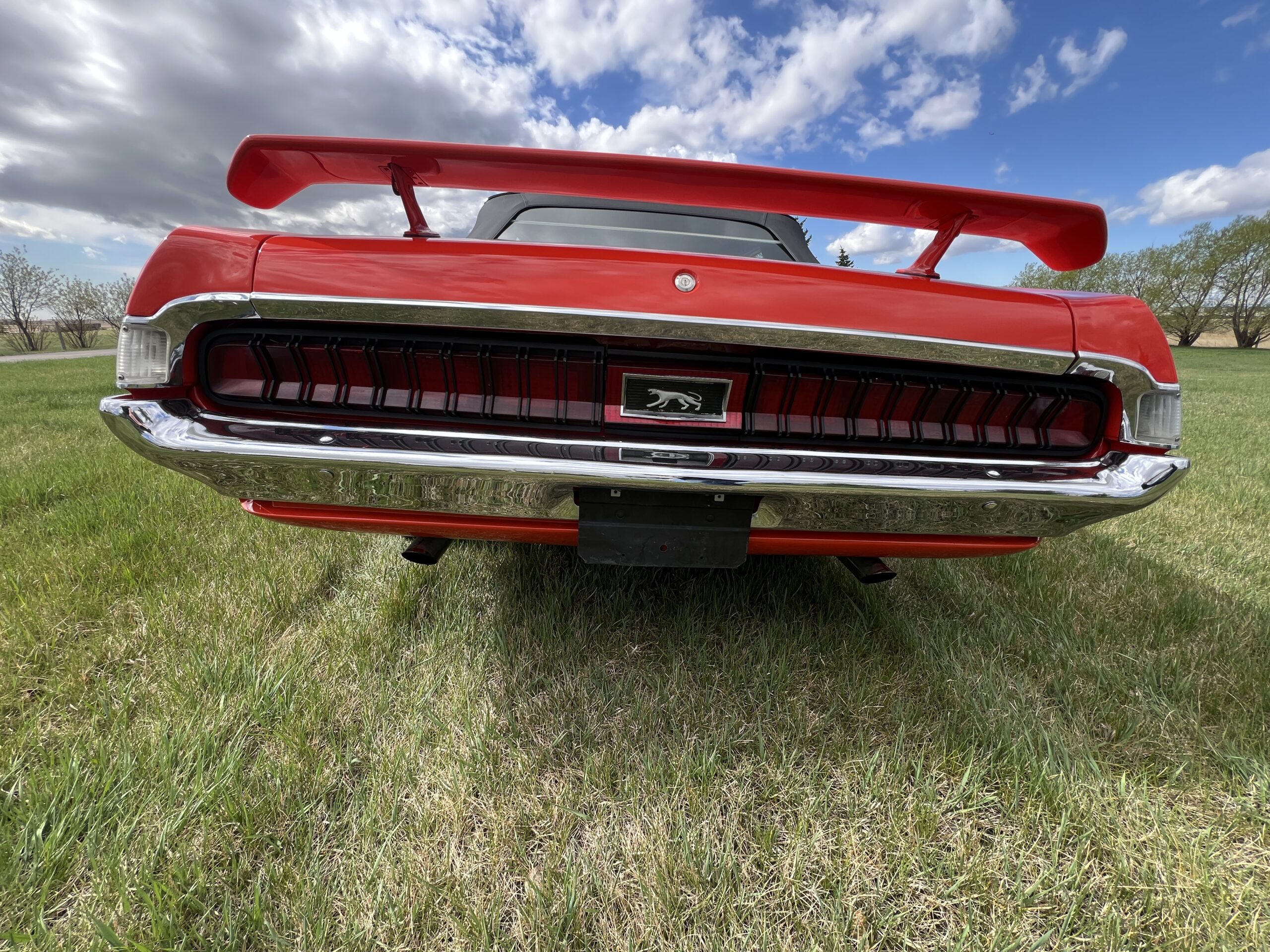 Photo 2025-05-08, 10 38 21 AM