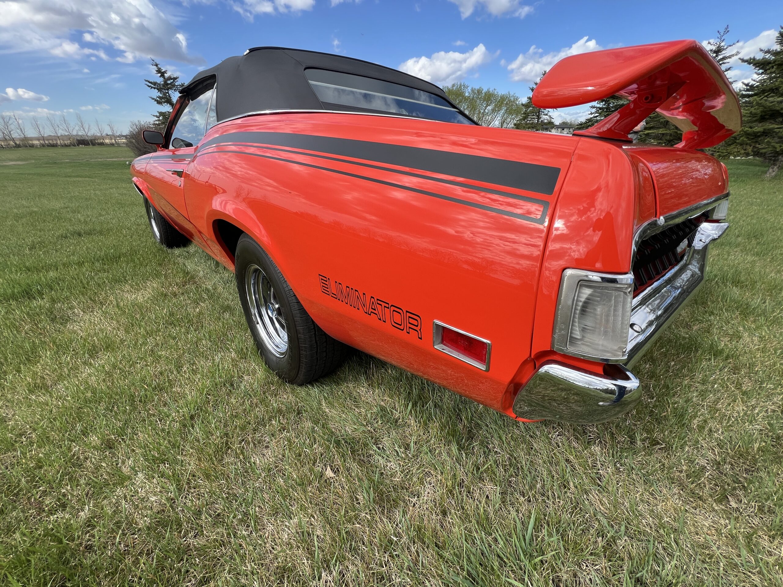 Photo 2025-05-08, 10 38 27 AM