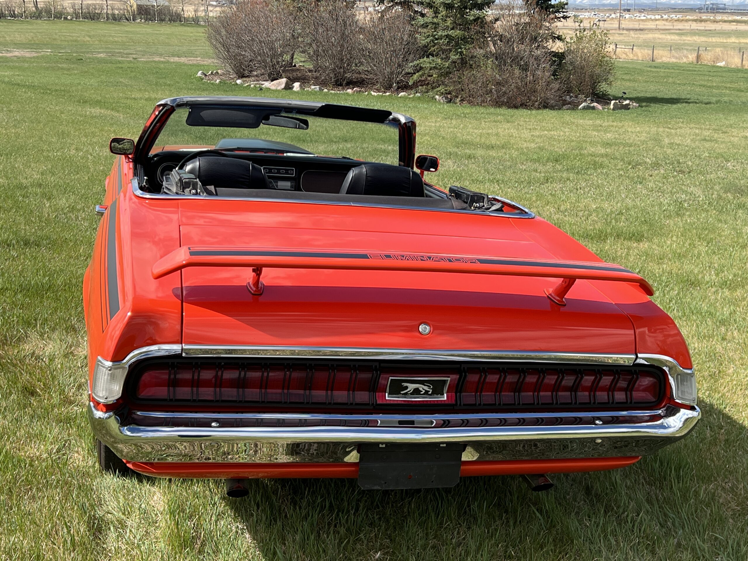 Photo 2025-05-08, 10 42 40 AM