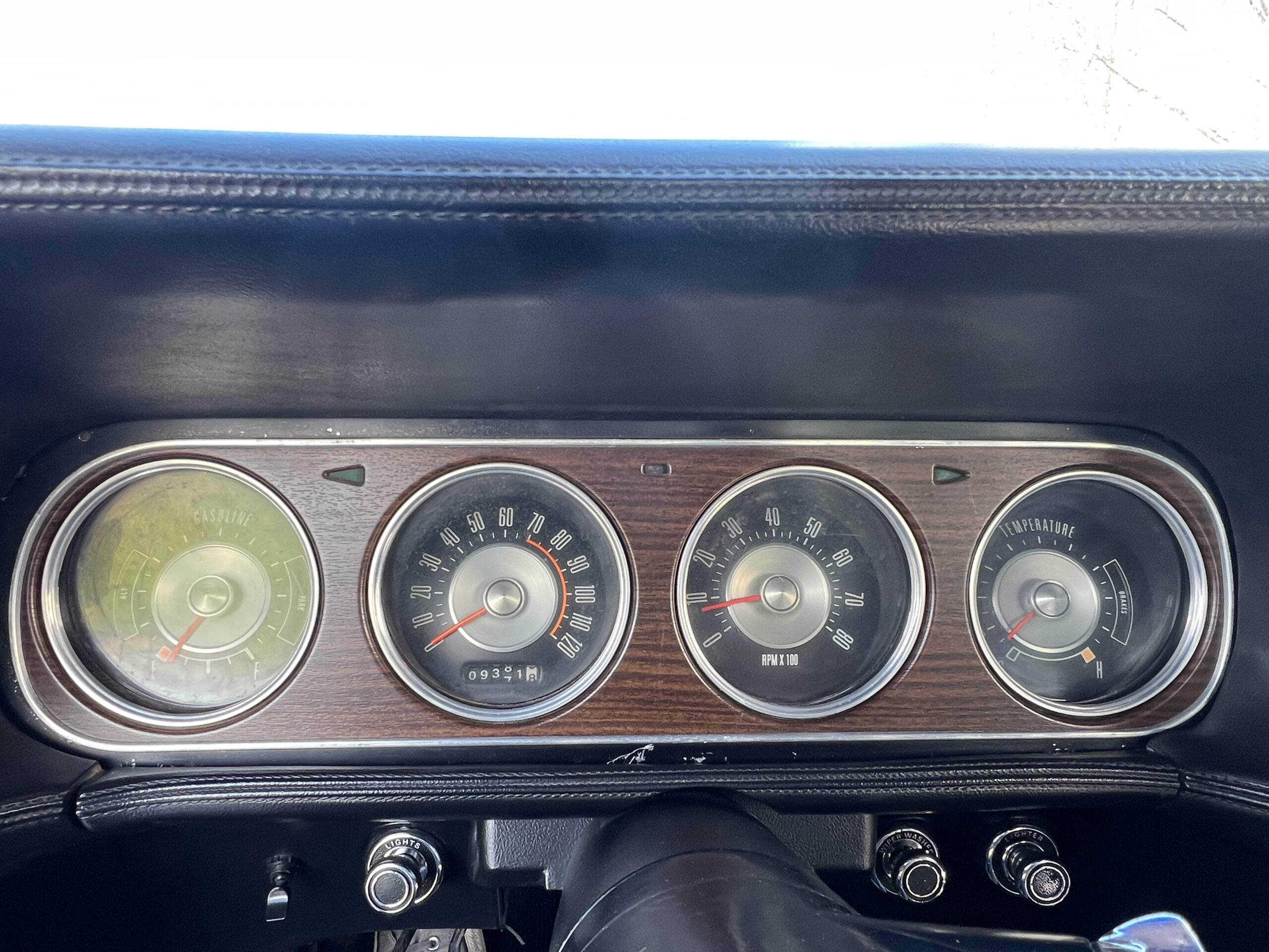 Photo 2025-05-08, 10 49 07 AM (1)