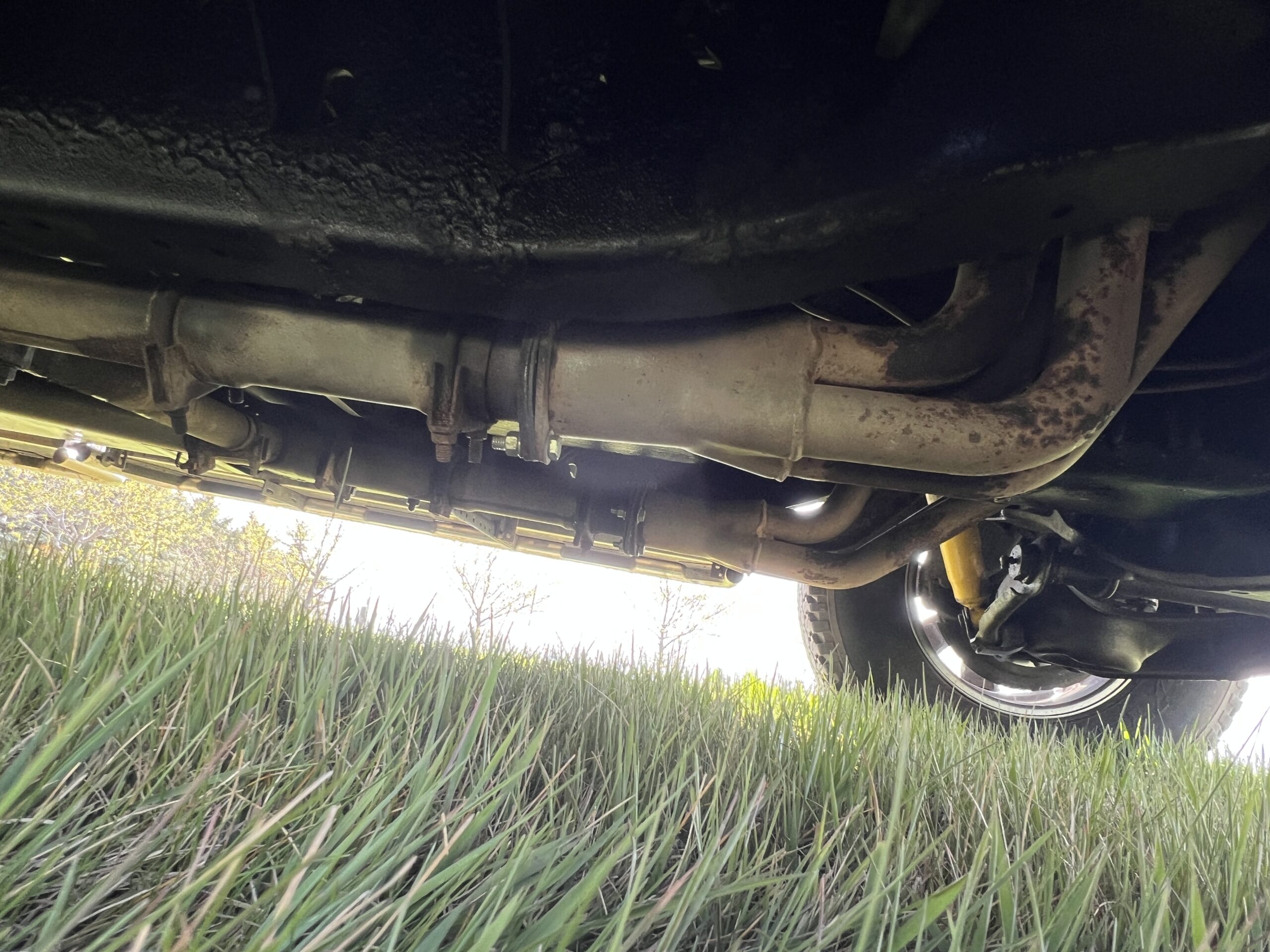 Photo 2025-05-08, 10 52 33 AM