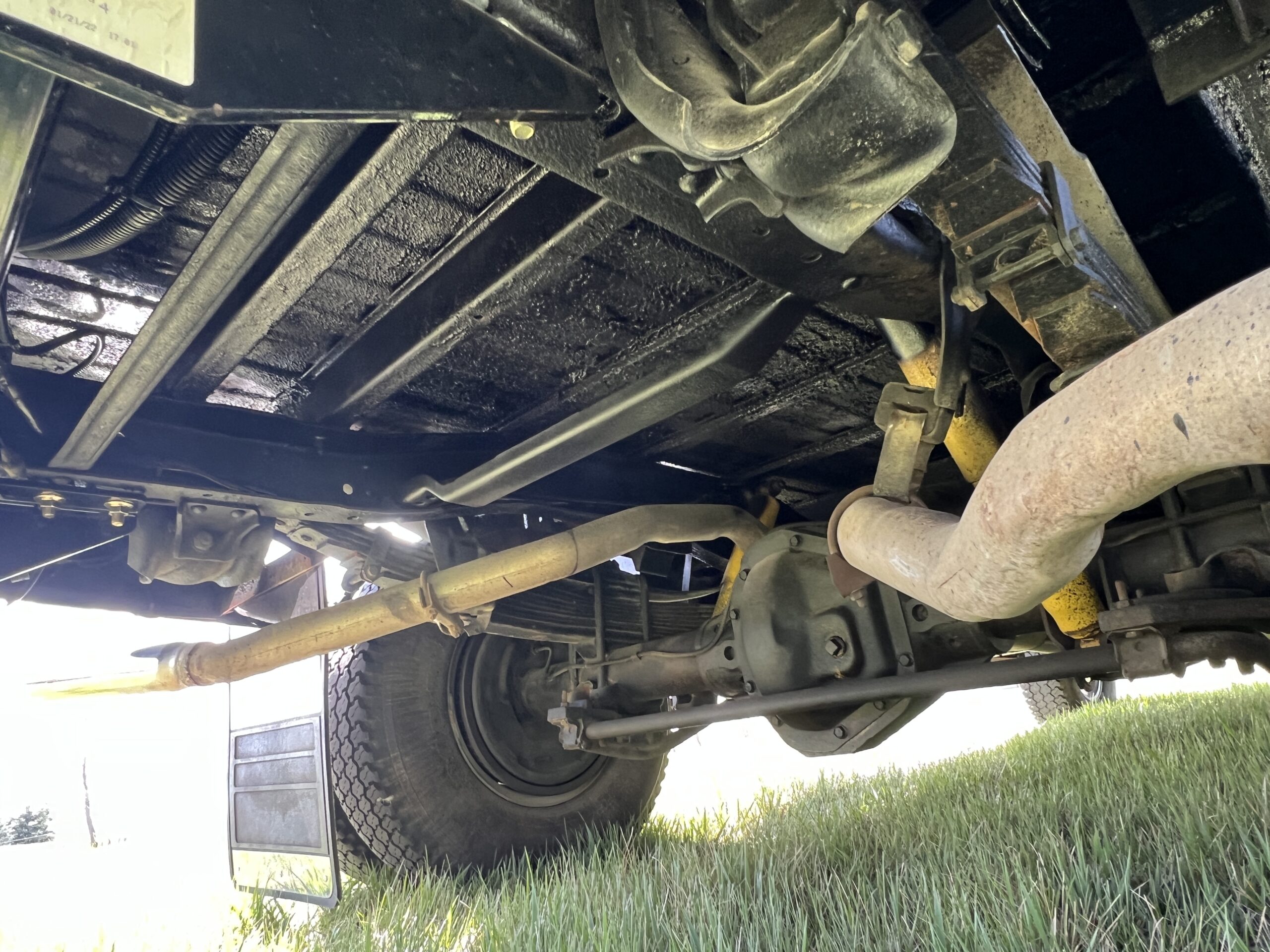 Photo 2025-05-08, 10 52 44 AM