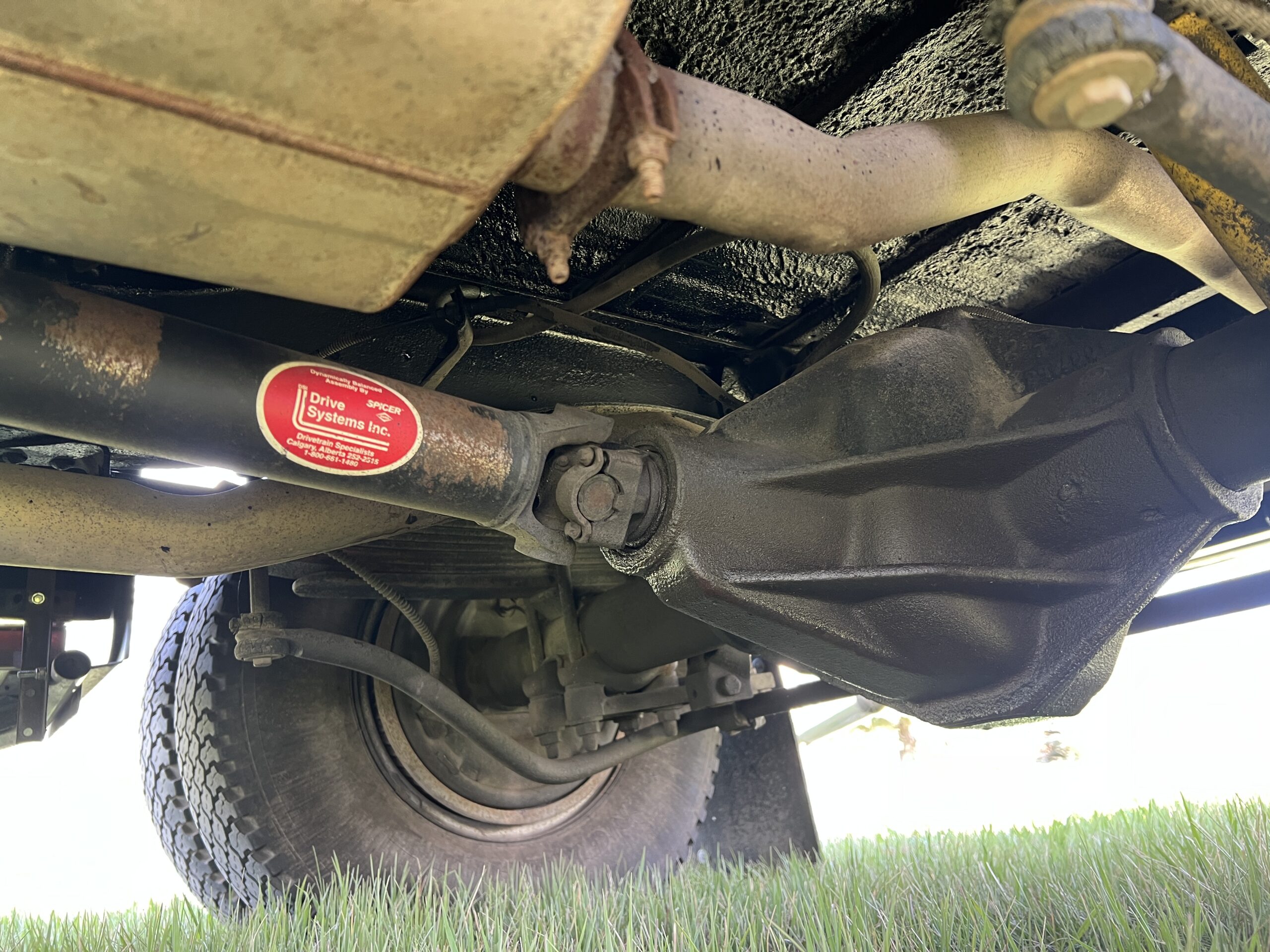 Photo 2025-05-08, 10 55 51 AM