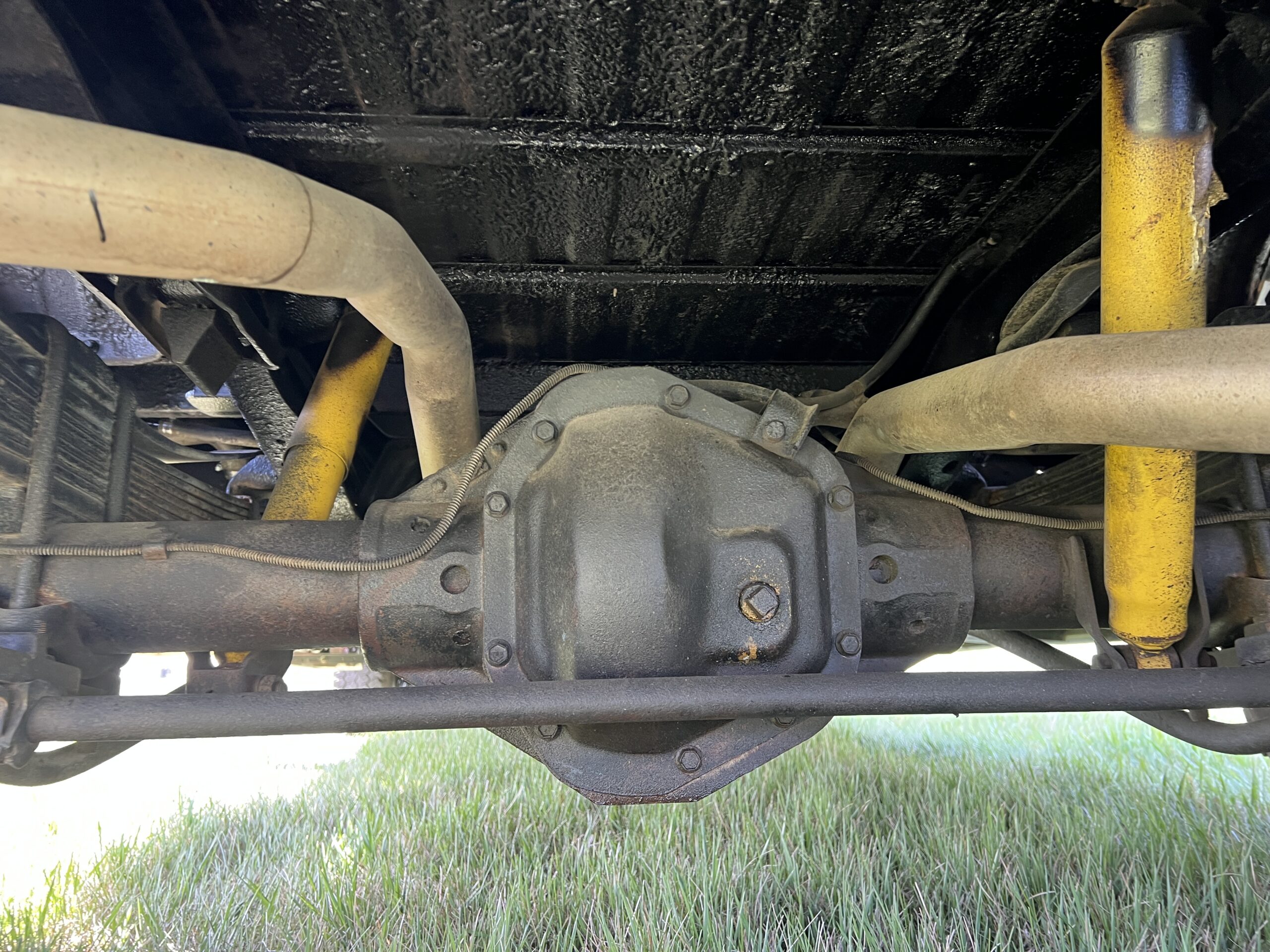 Photo 2025-05-08, 10 56 18 AM