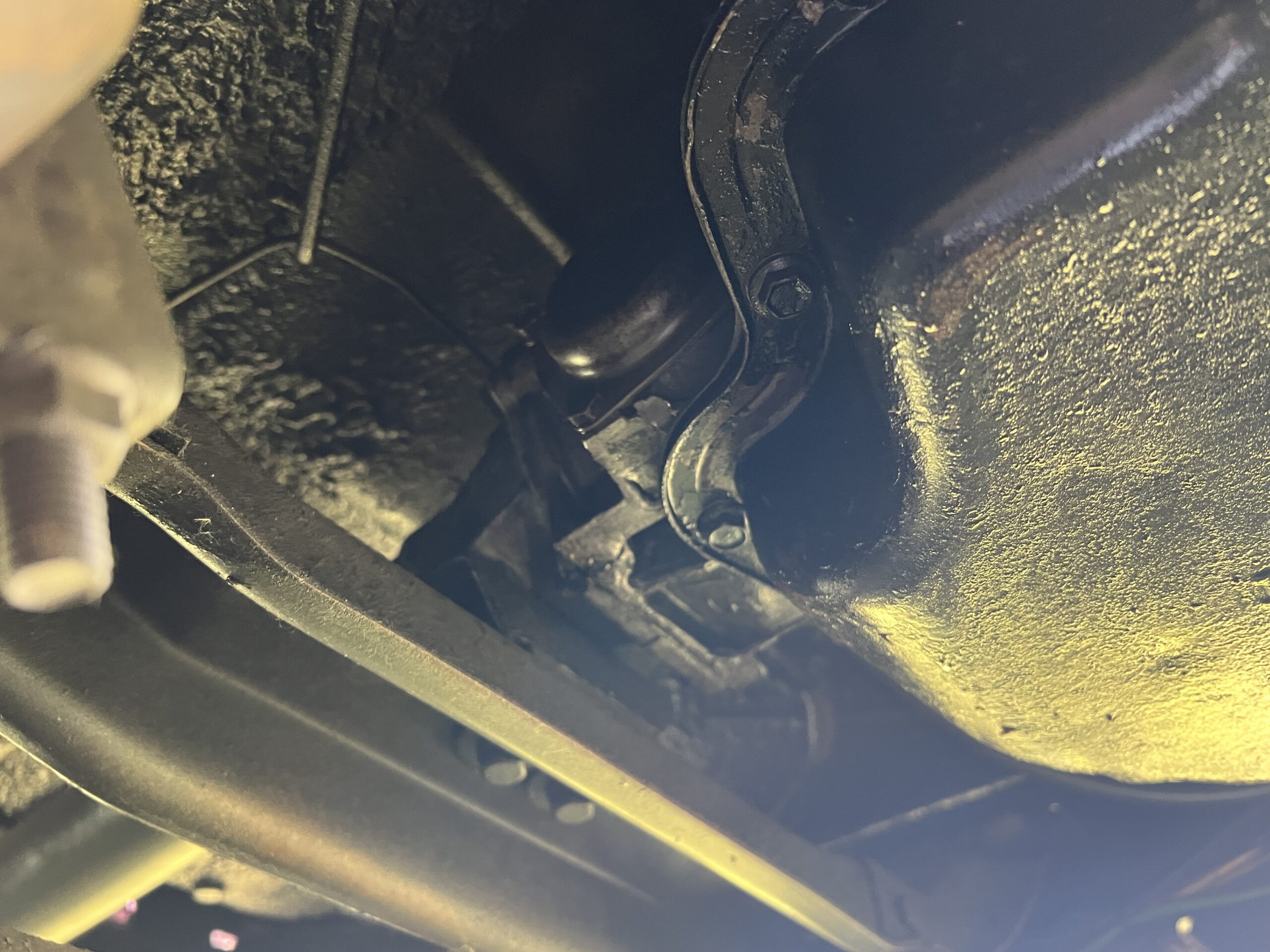 Photo 2025-05-08, 10 56 49 AM