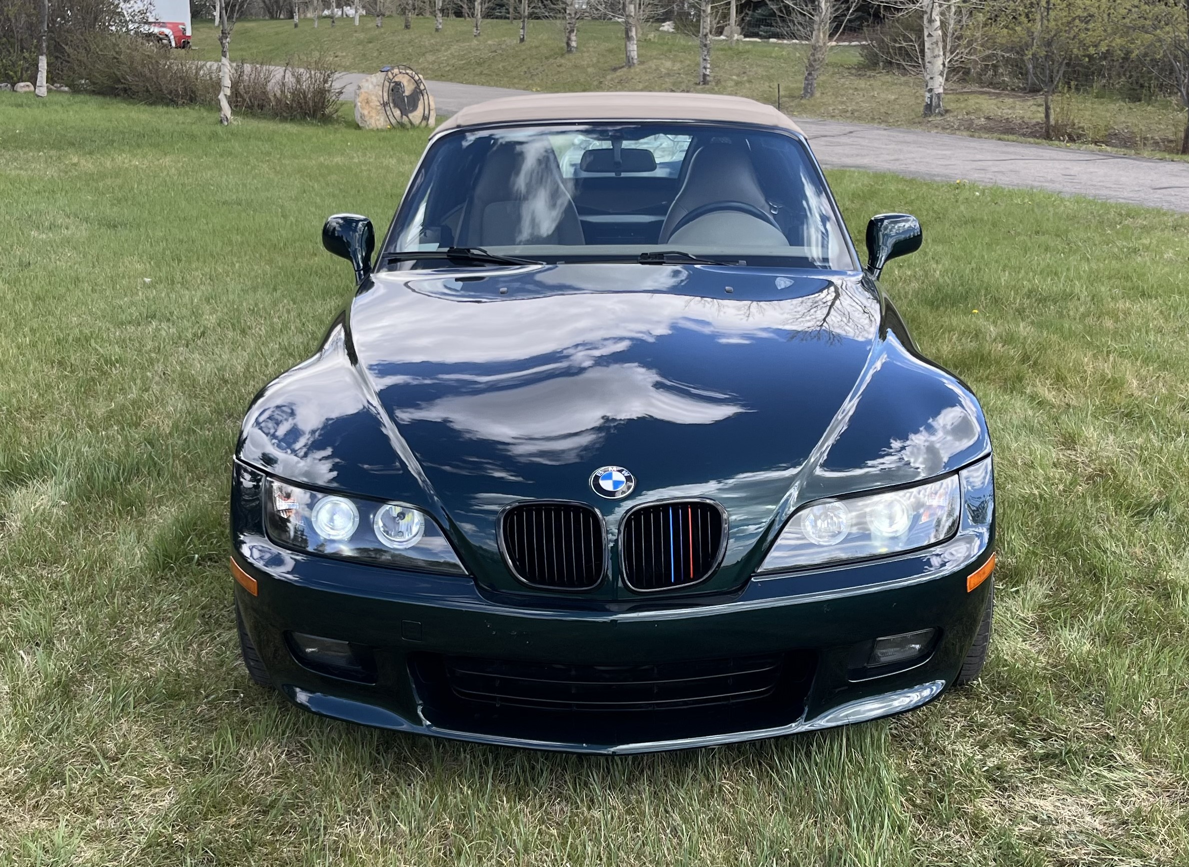 Photo 2025-05-08, 11 29 17 AM