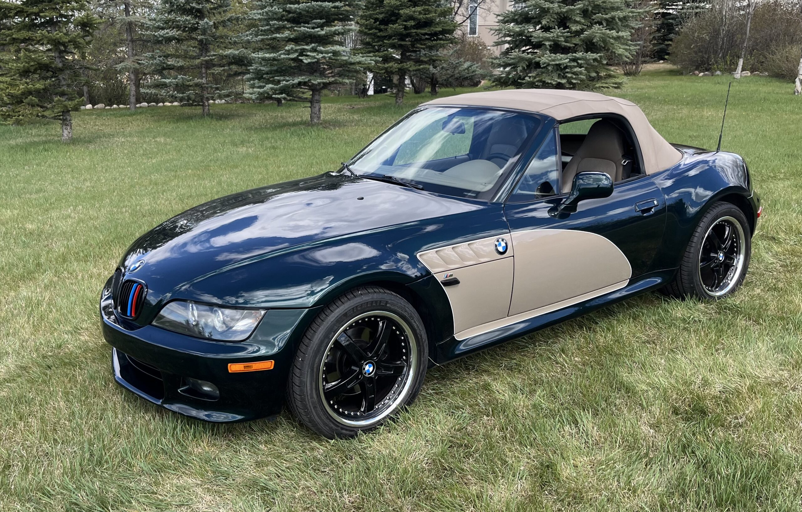 Photo 2025-05-08, 11 30 42 AM